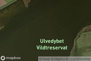 Ulvedybet