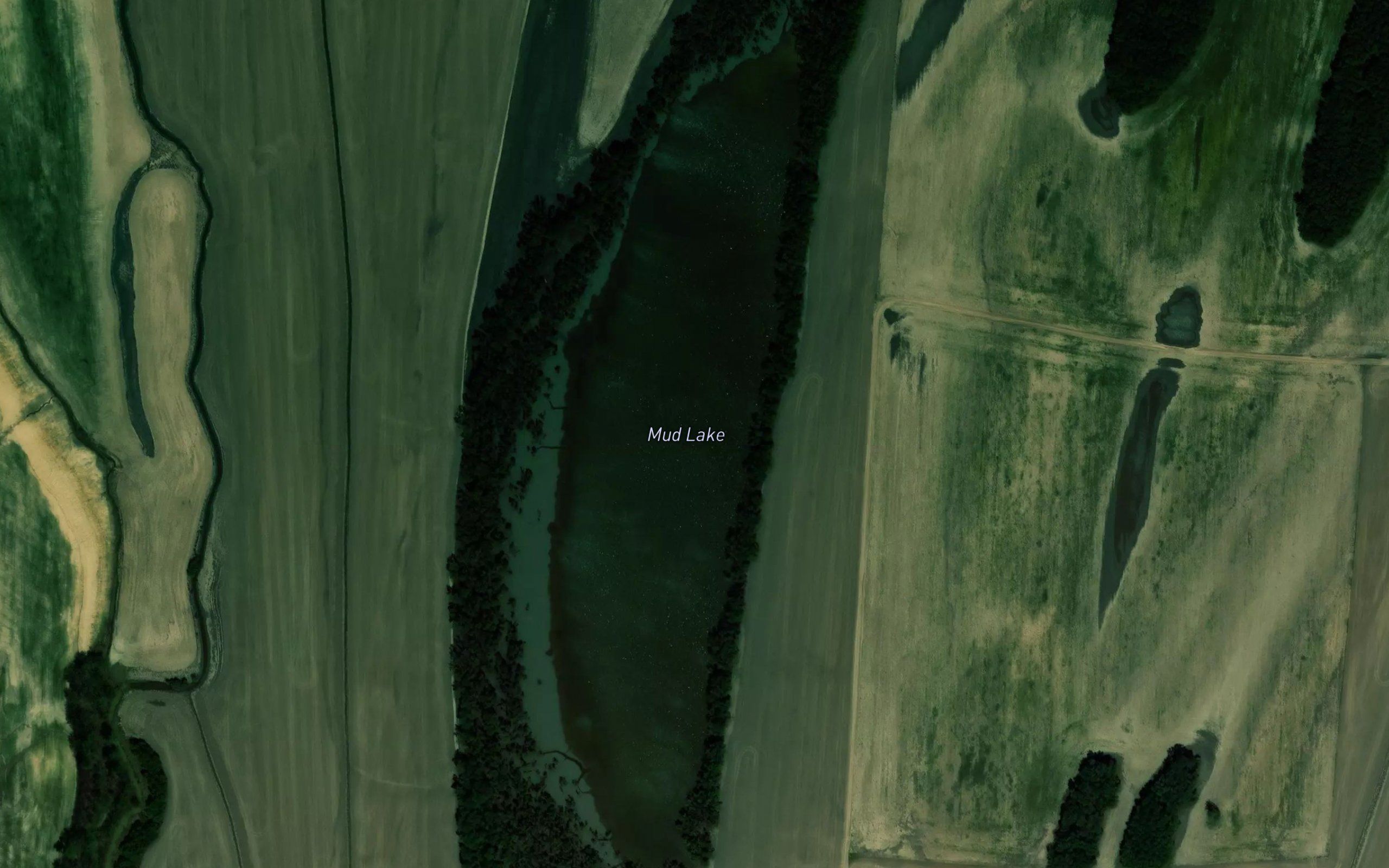 Mud Lake