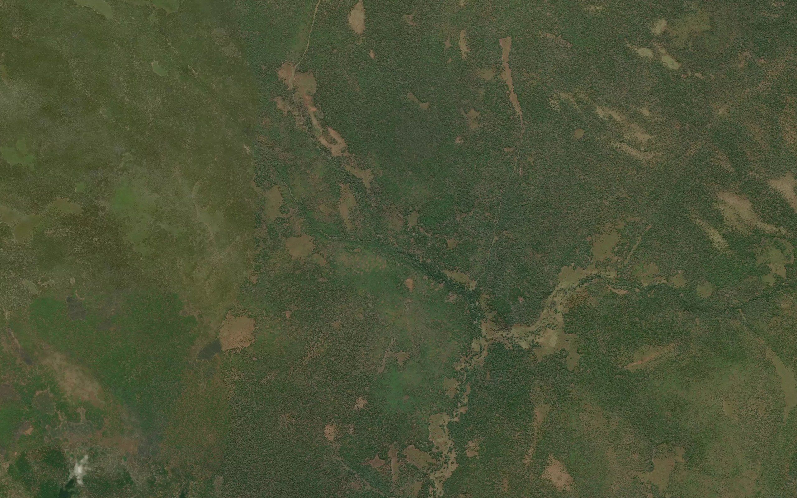Cambinga