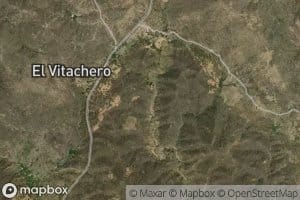 Canada Palma Agujerada