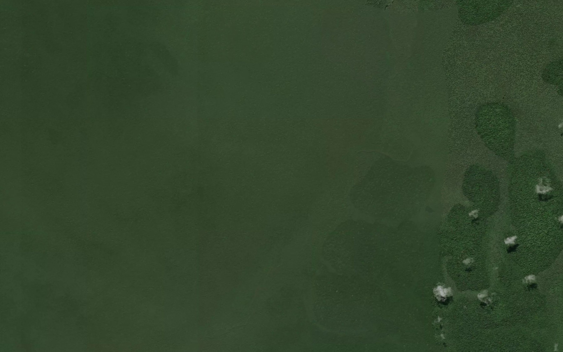 Satellite map of the Bila-Bila