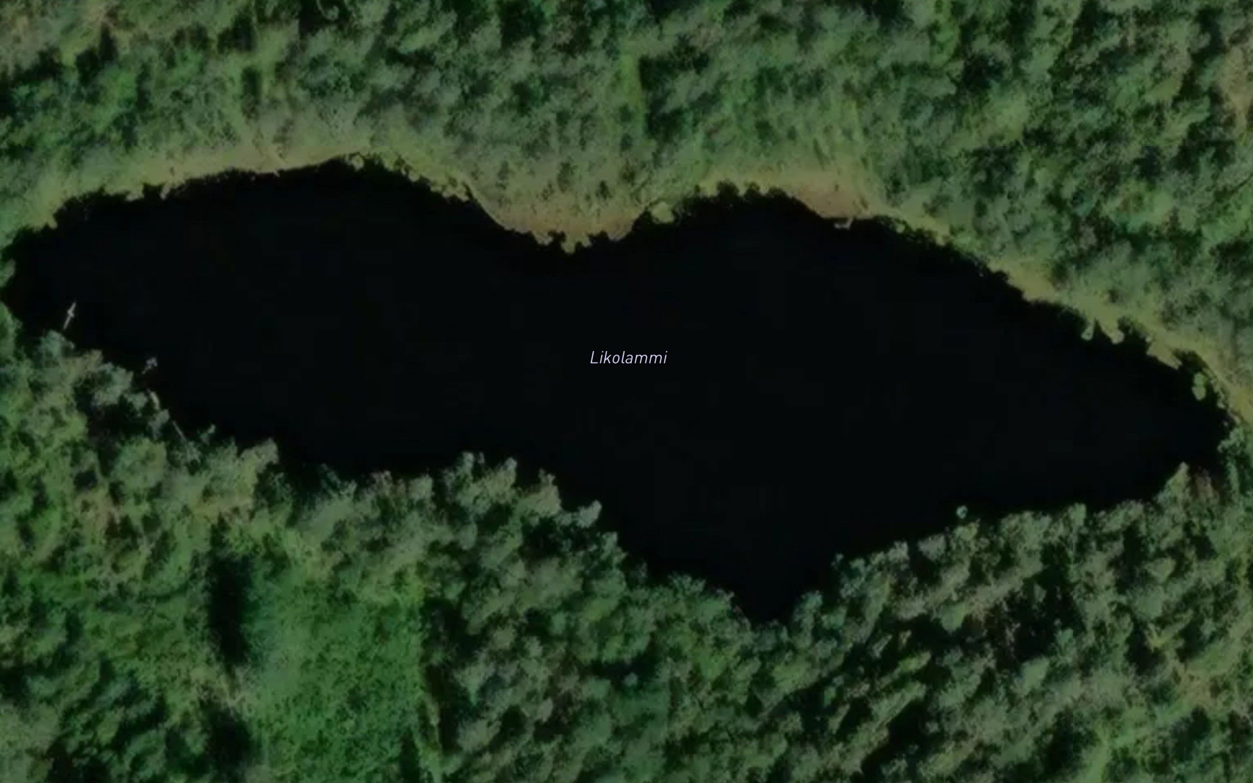 Likolammi