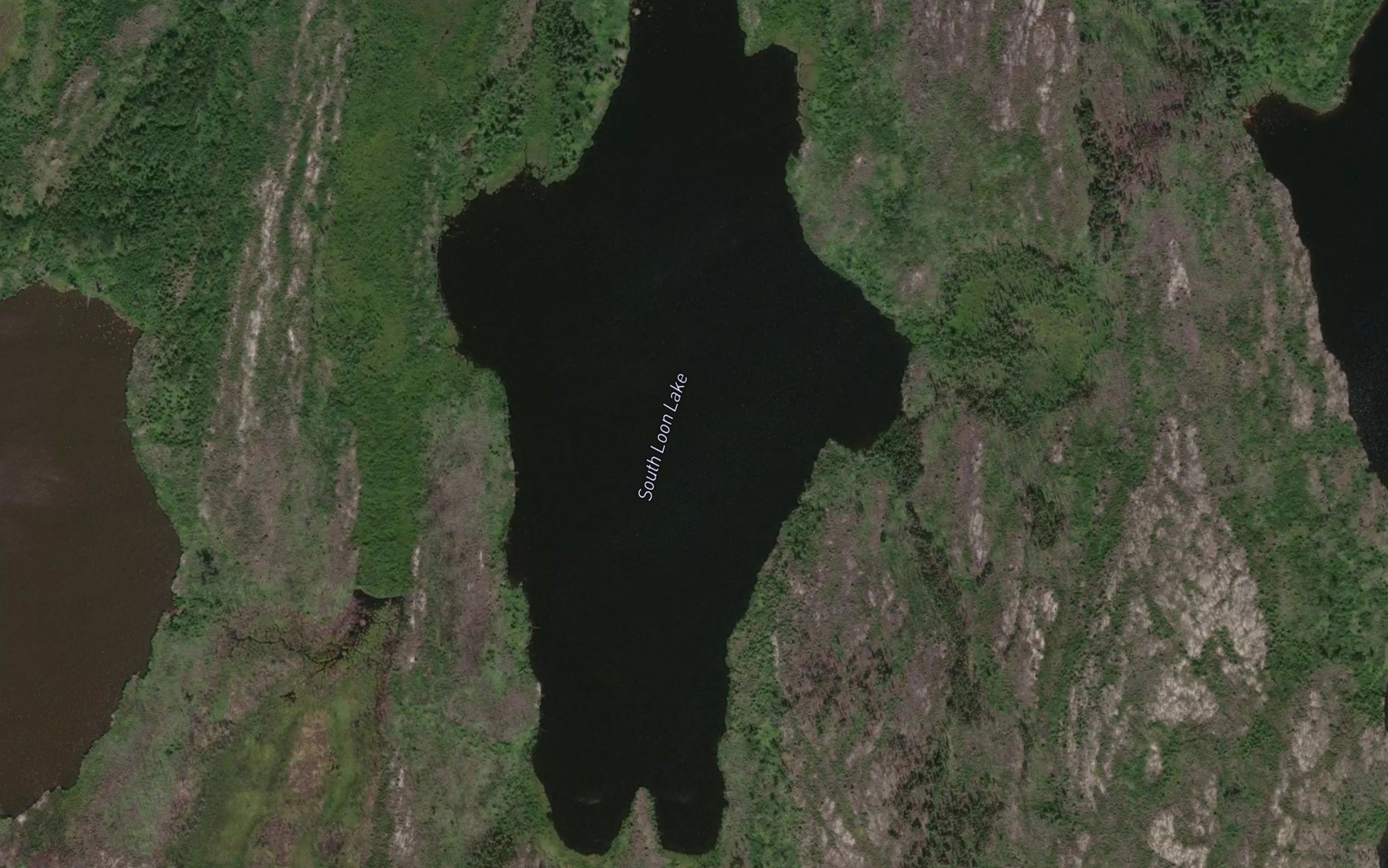Satellite map of the South Loon Lake