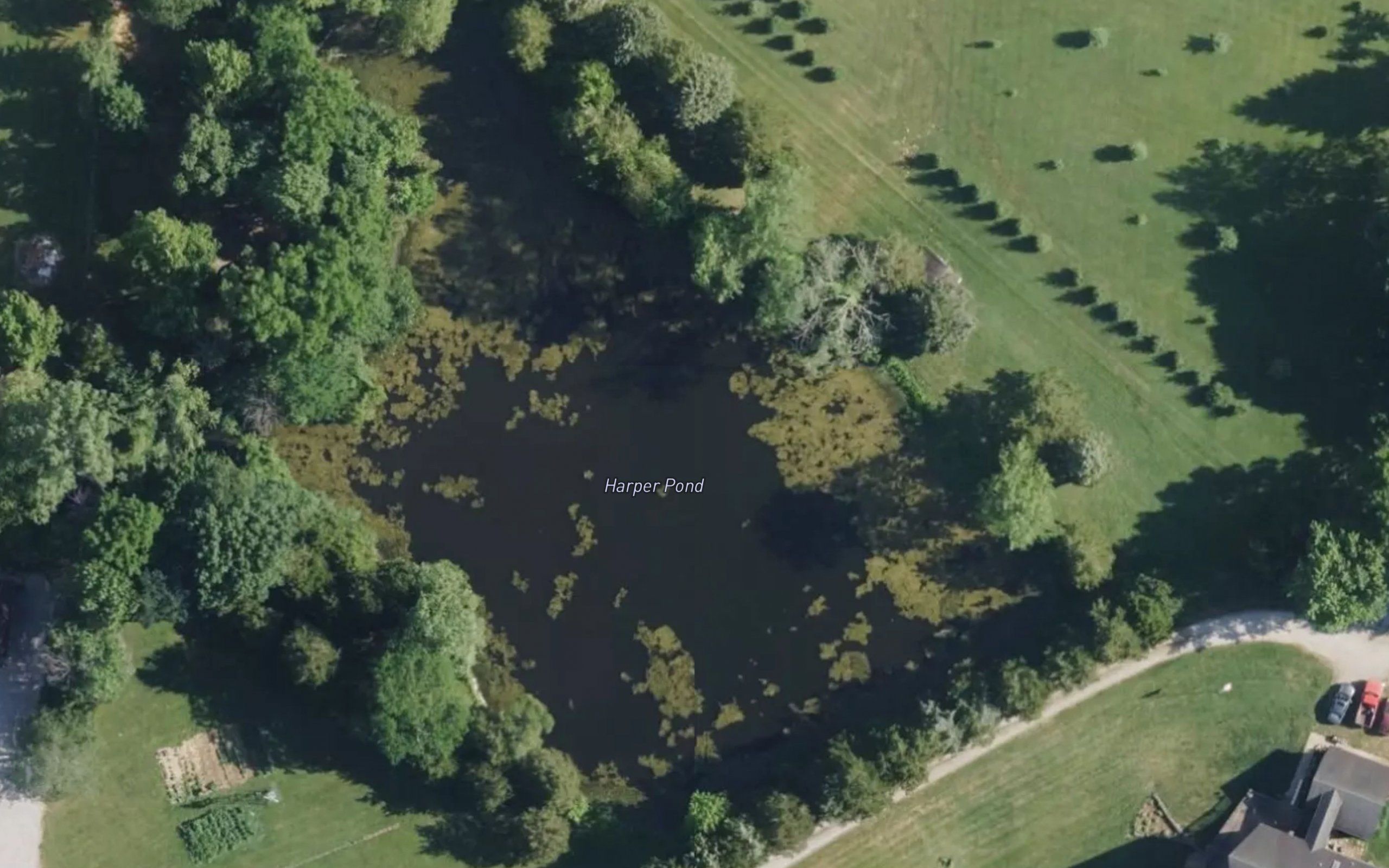 Harper Pond