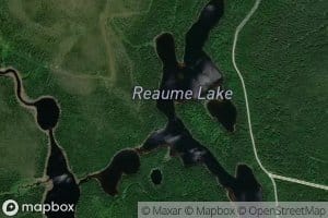 Reaume Lake