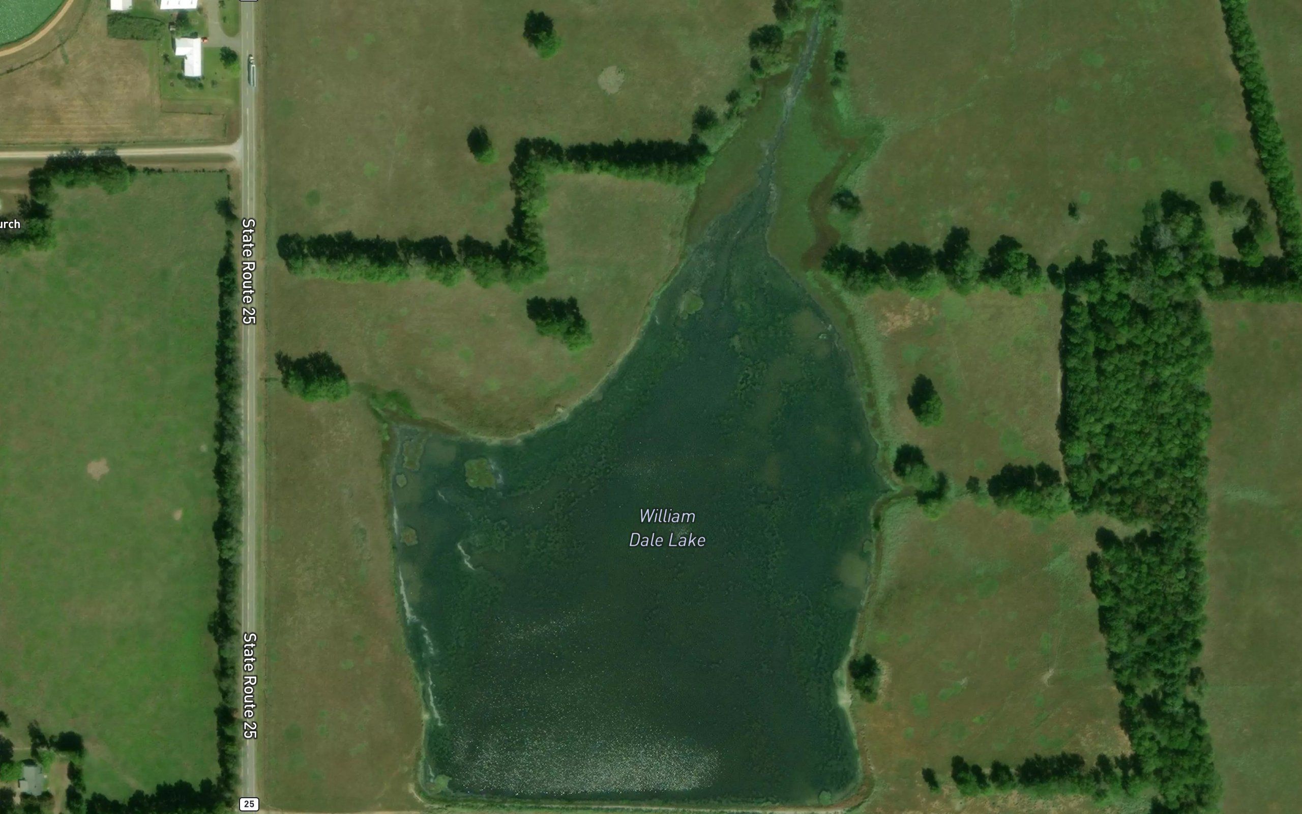 William Dale Lake