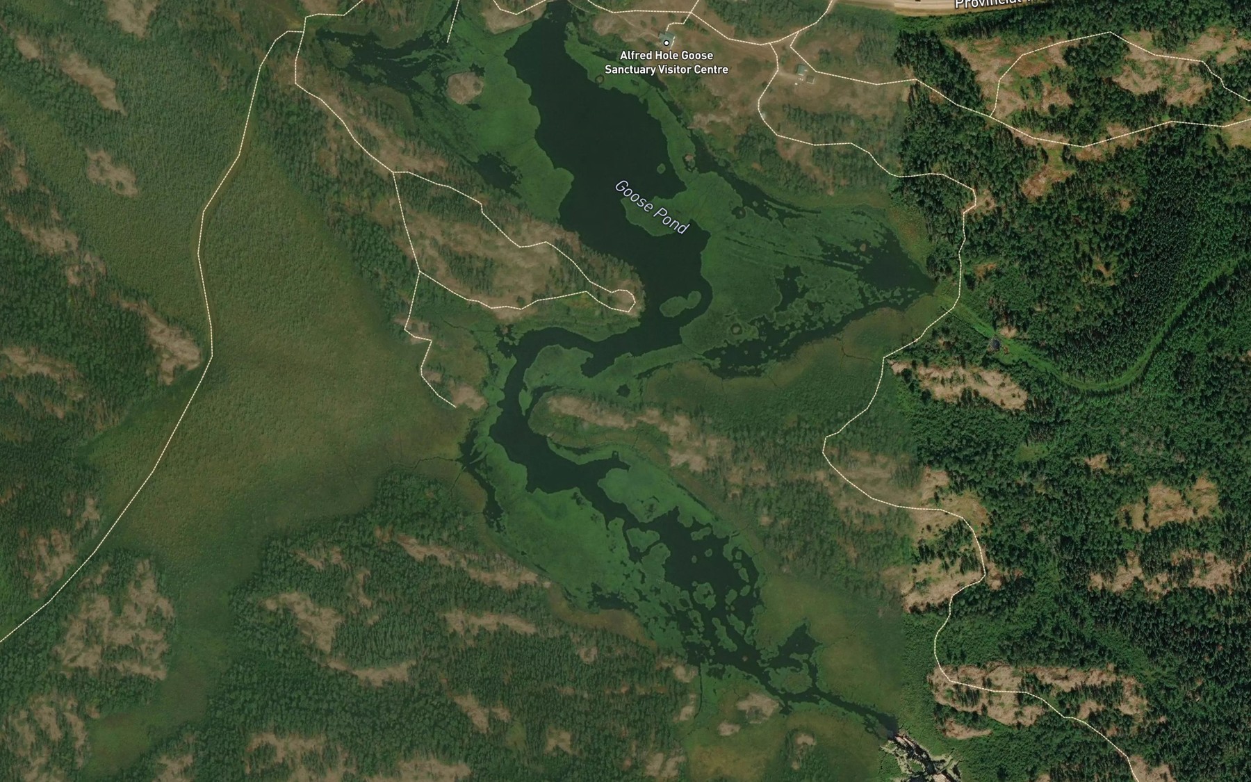 Satellite map of the Goose Pond