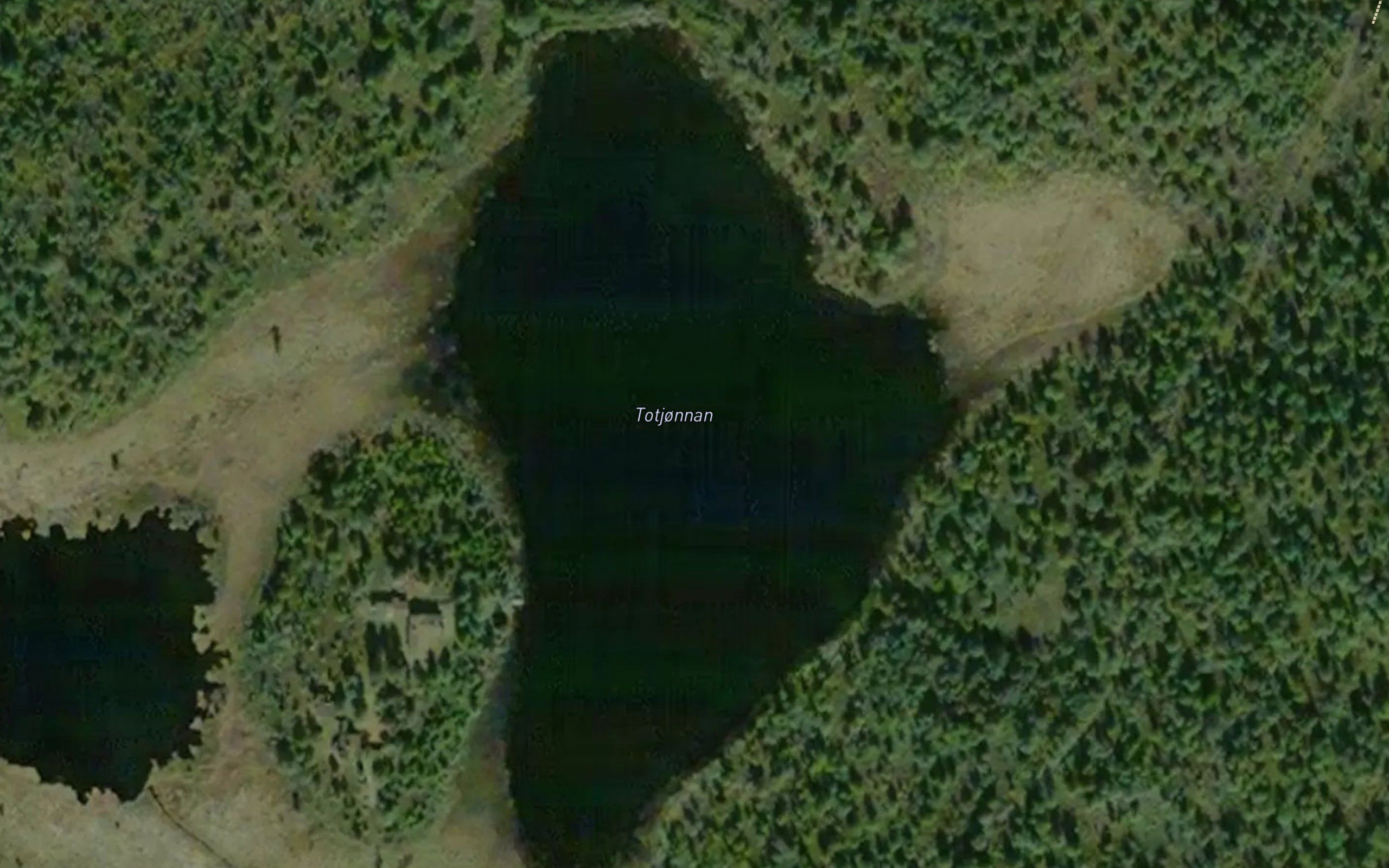 Totjonnan