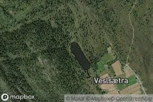 Vesltjorn