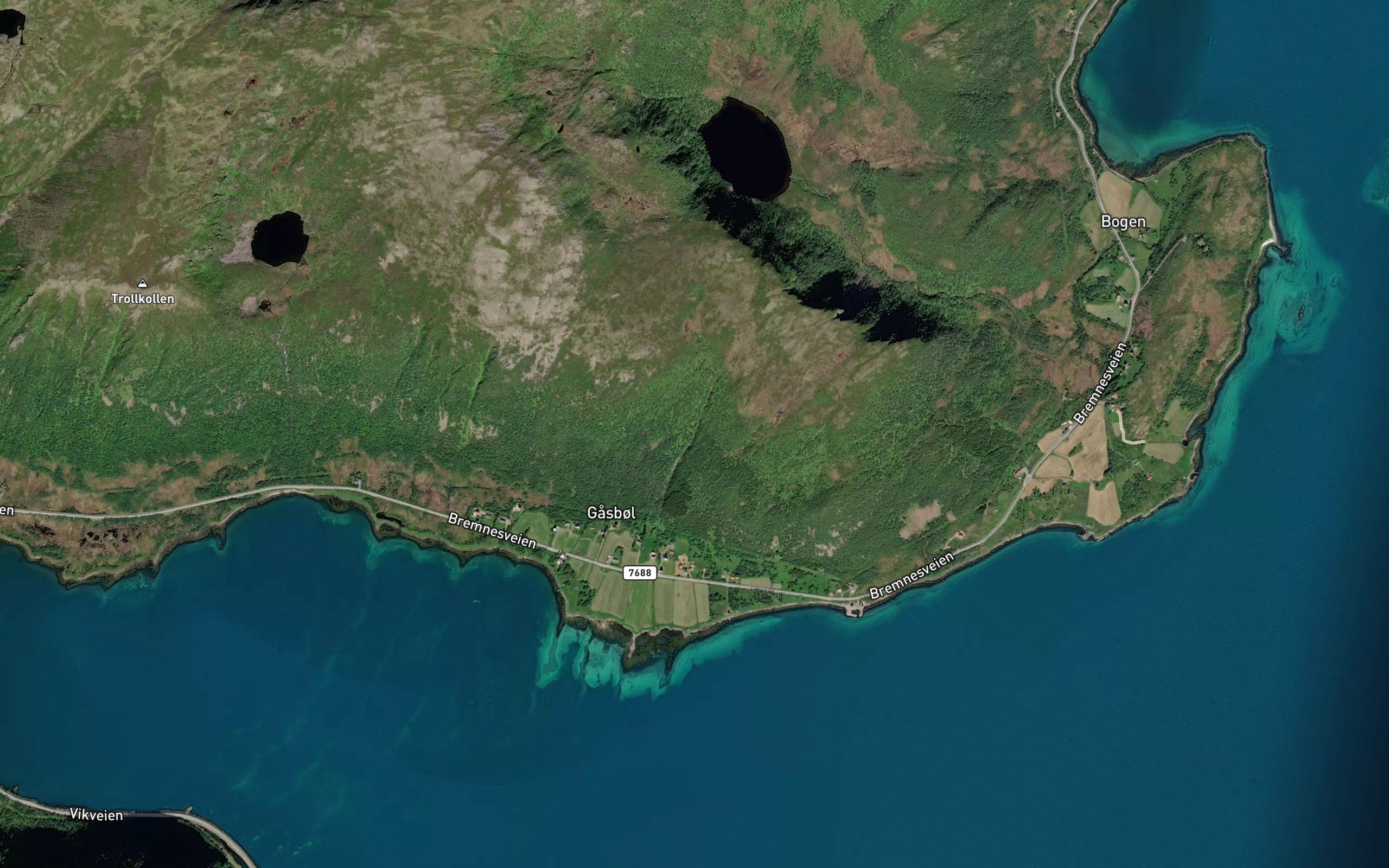 Gasbolelva