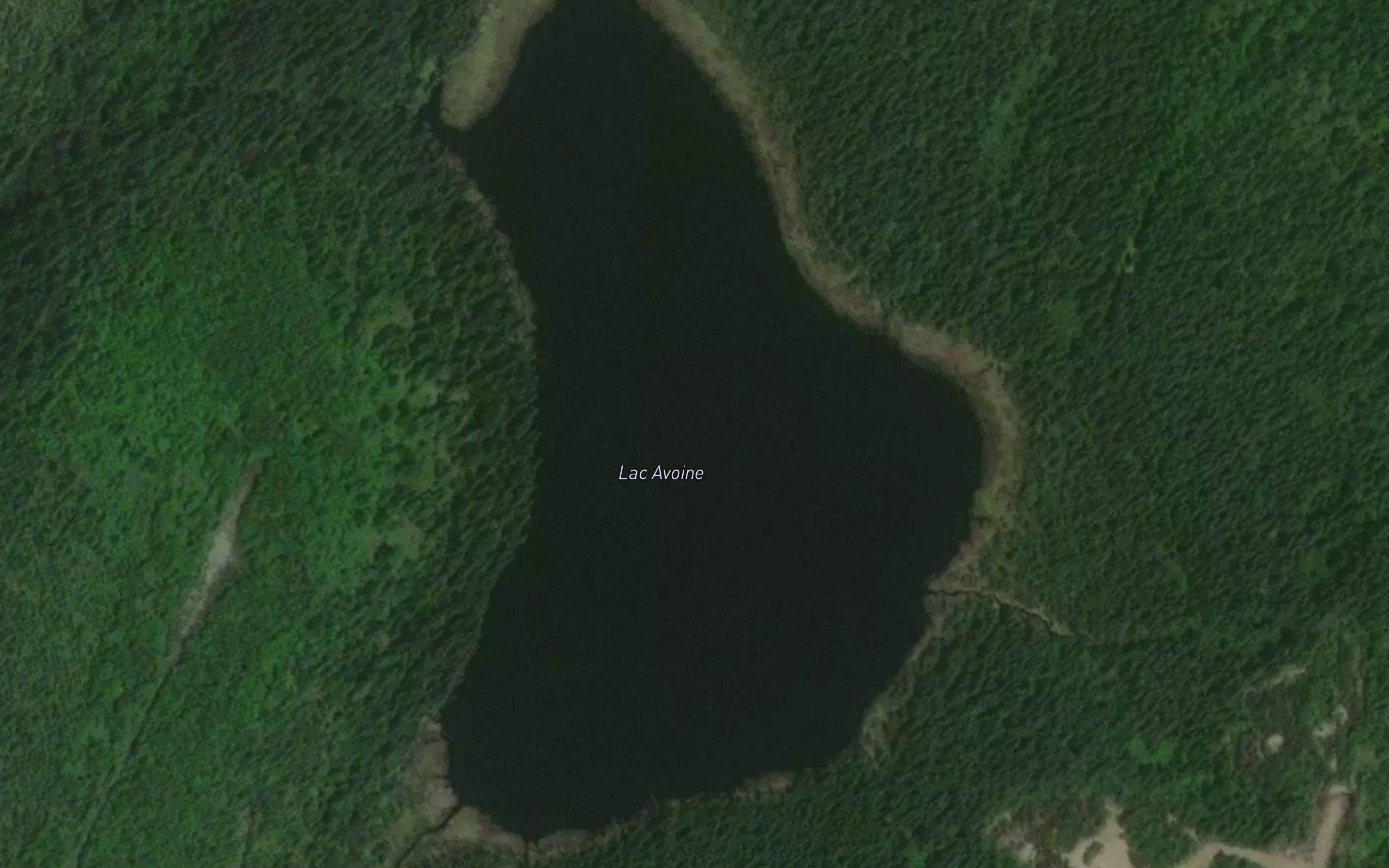 Lac Avoine