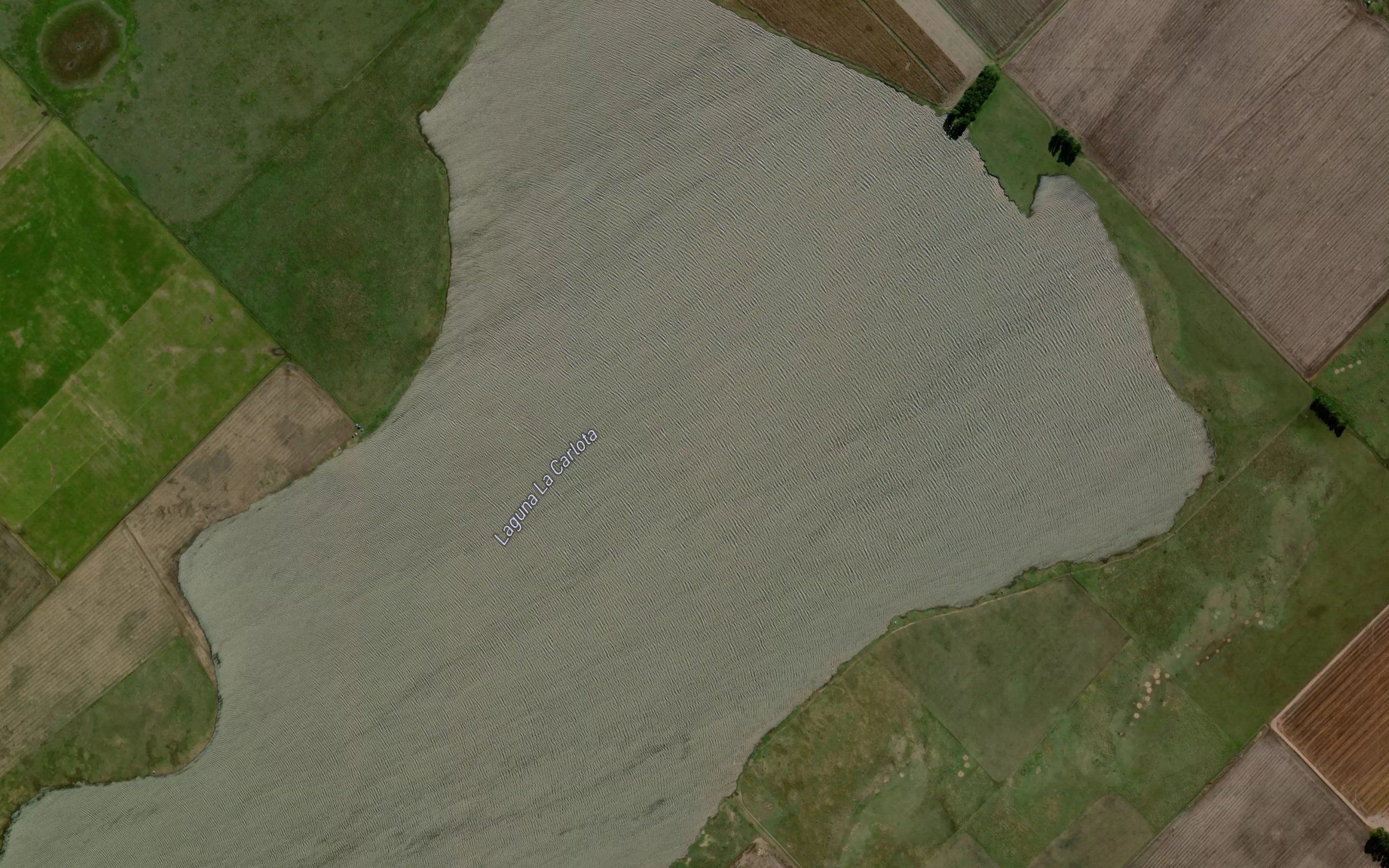 Laguna La Carlota