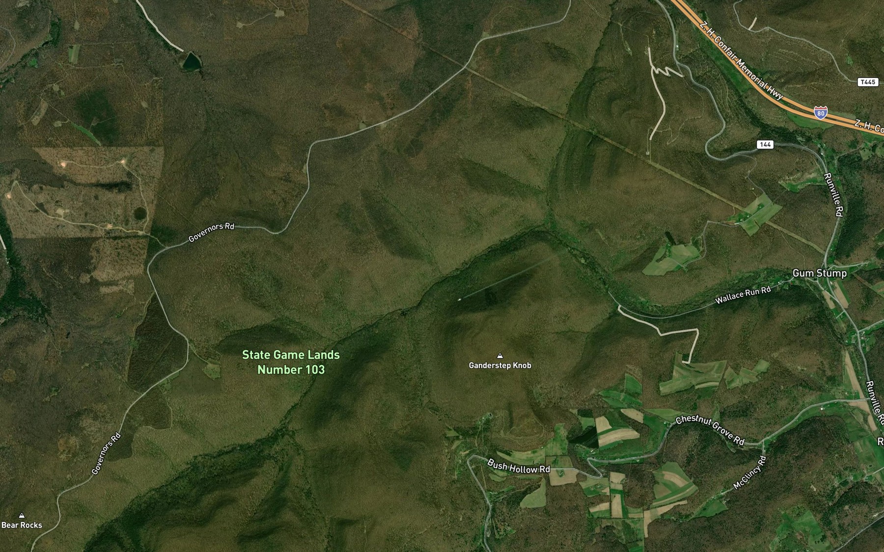 Satellite map of the Birch Lick Run