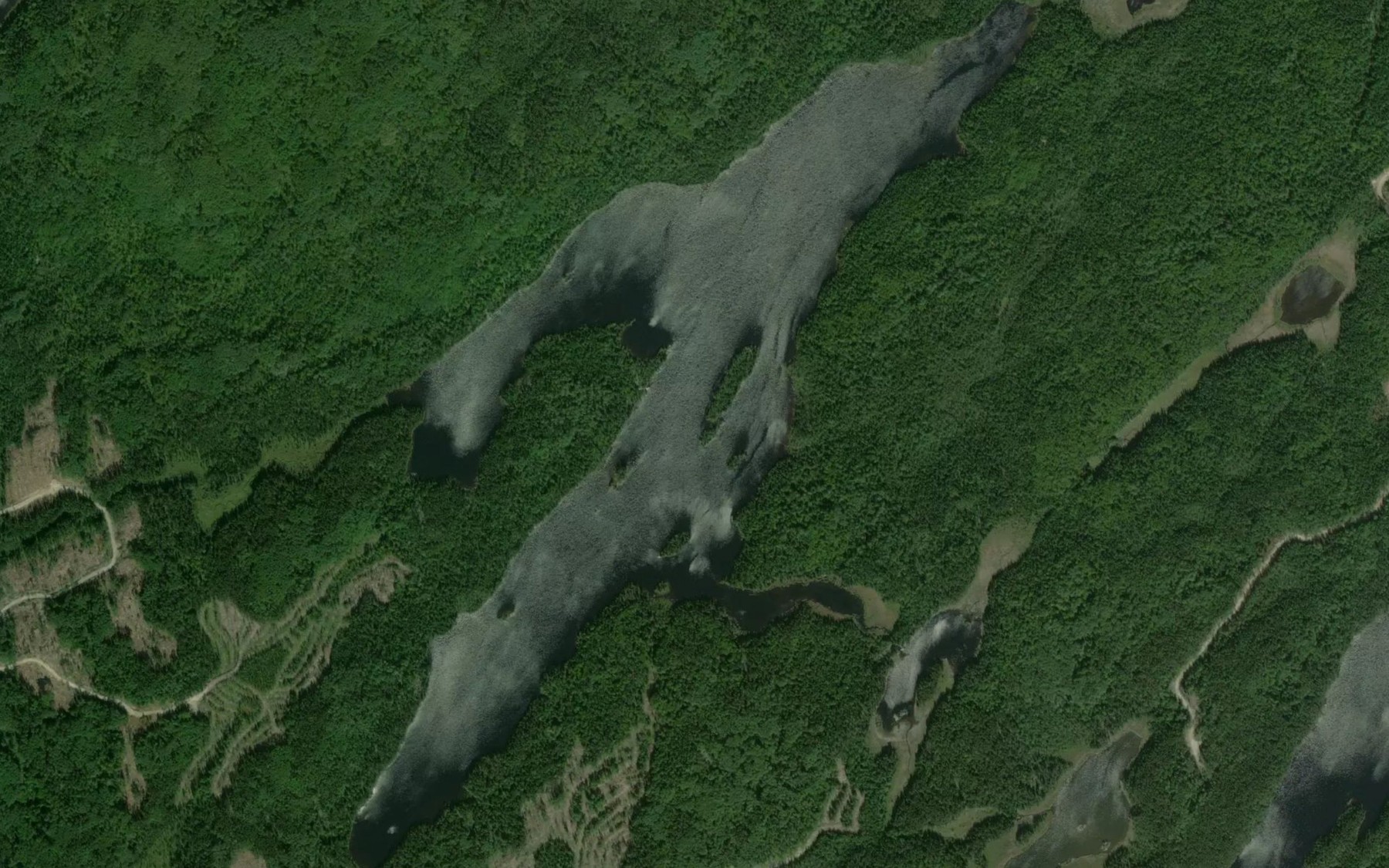 Satellite map of the Little Lemoine Lake