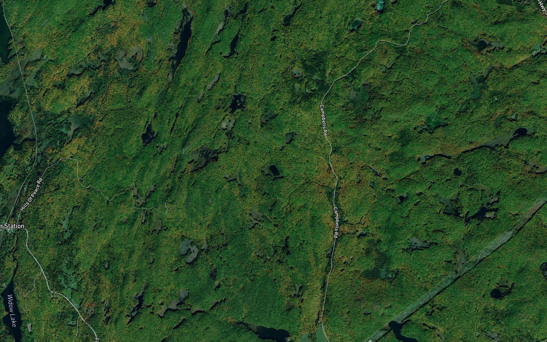 Satellite map of the Taylor Lake