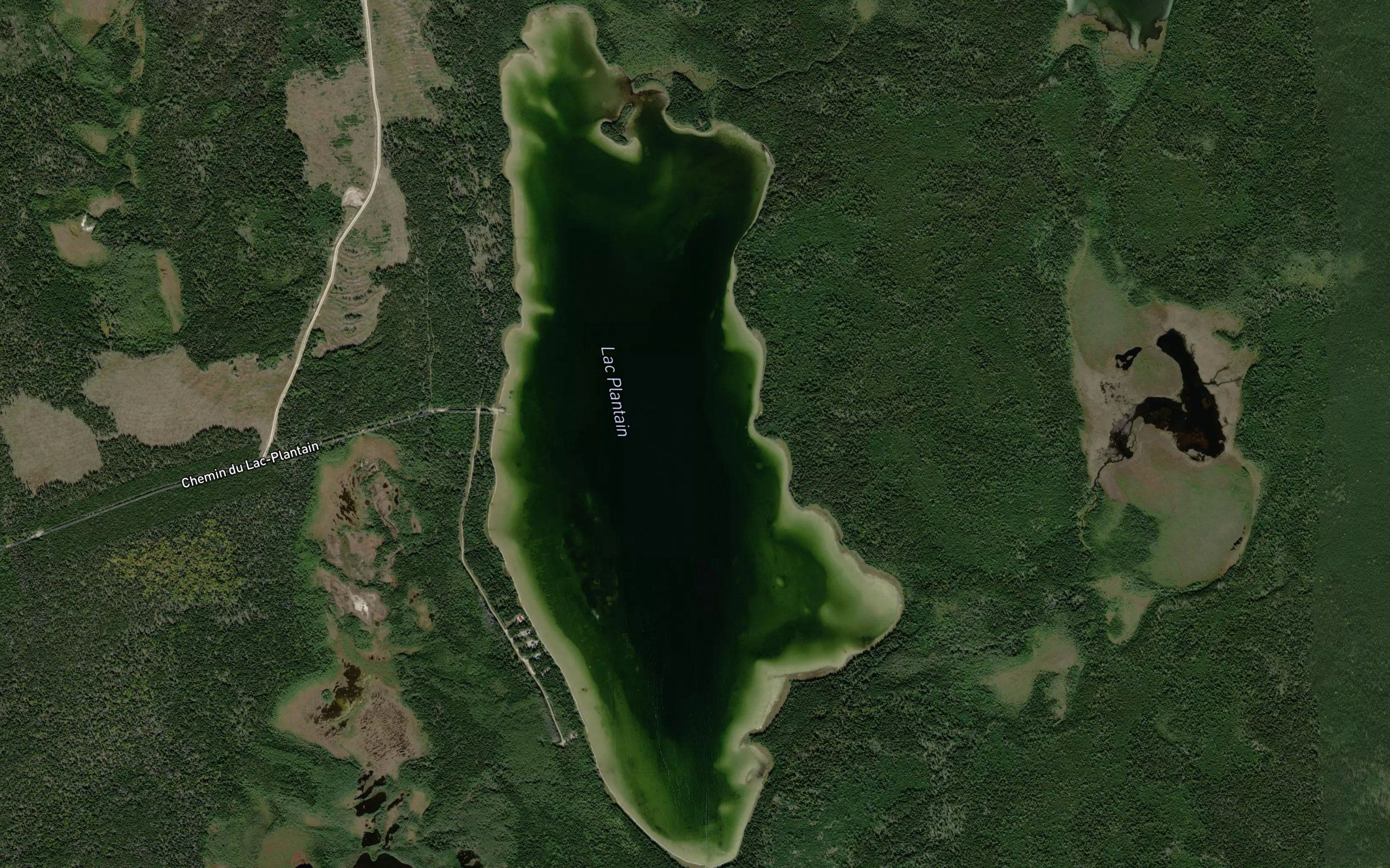 Lac Plantain