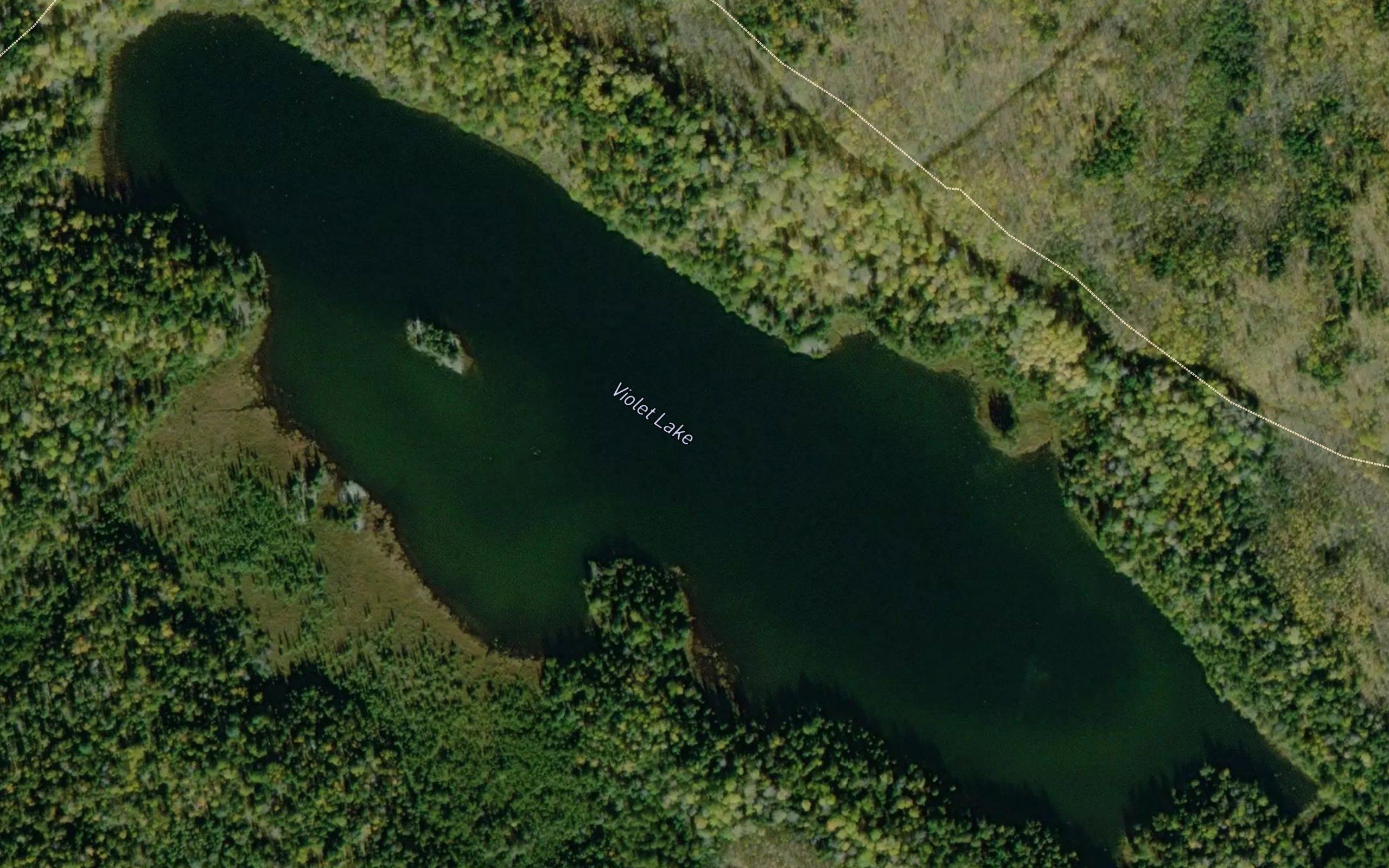 Violet Lake