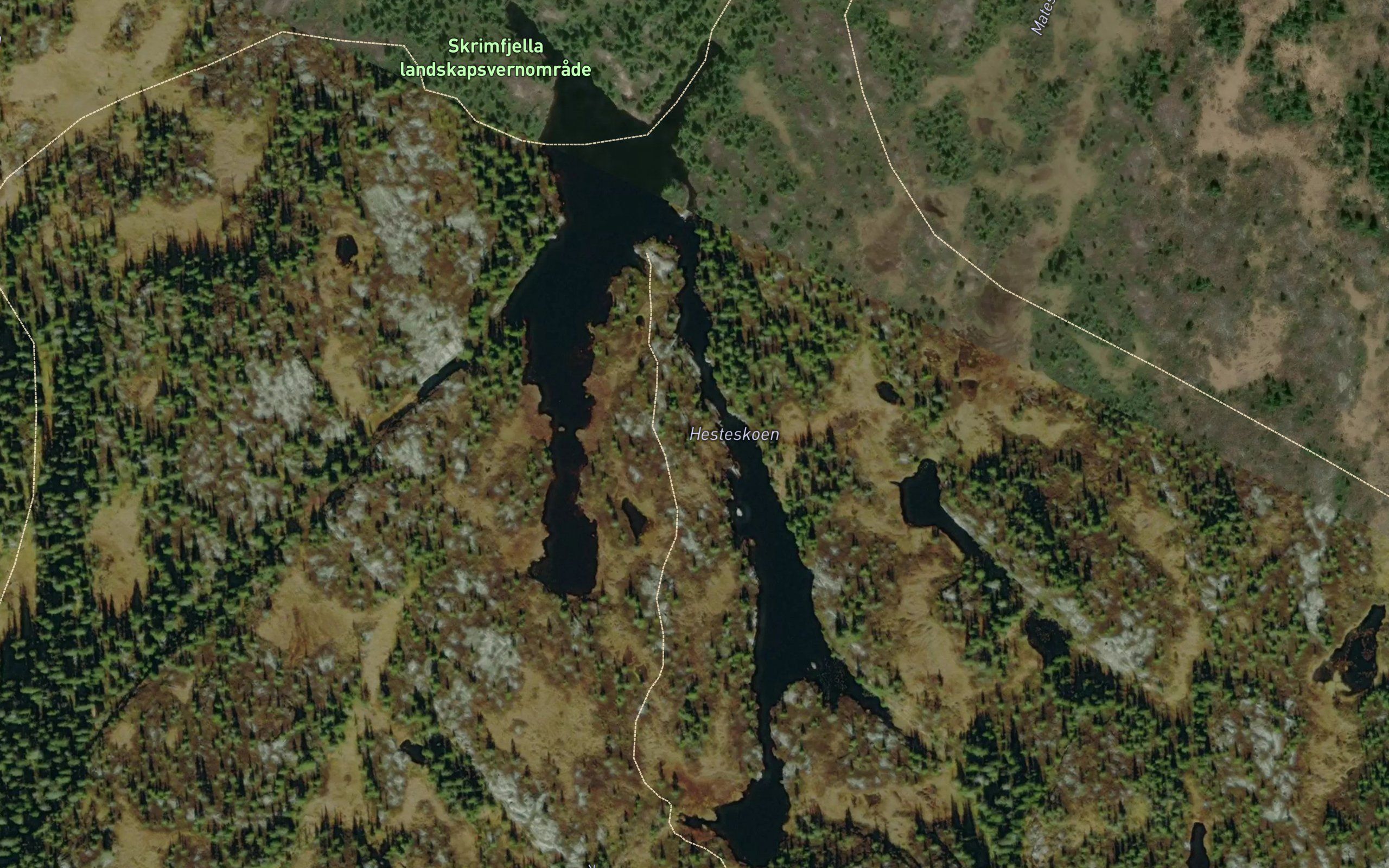 Hesteskoen