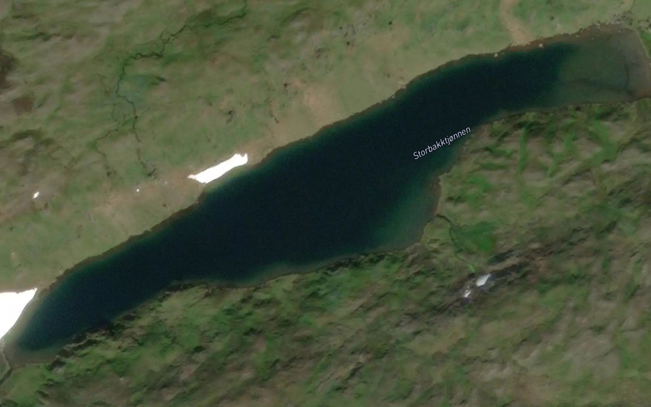Storbakktjornan