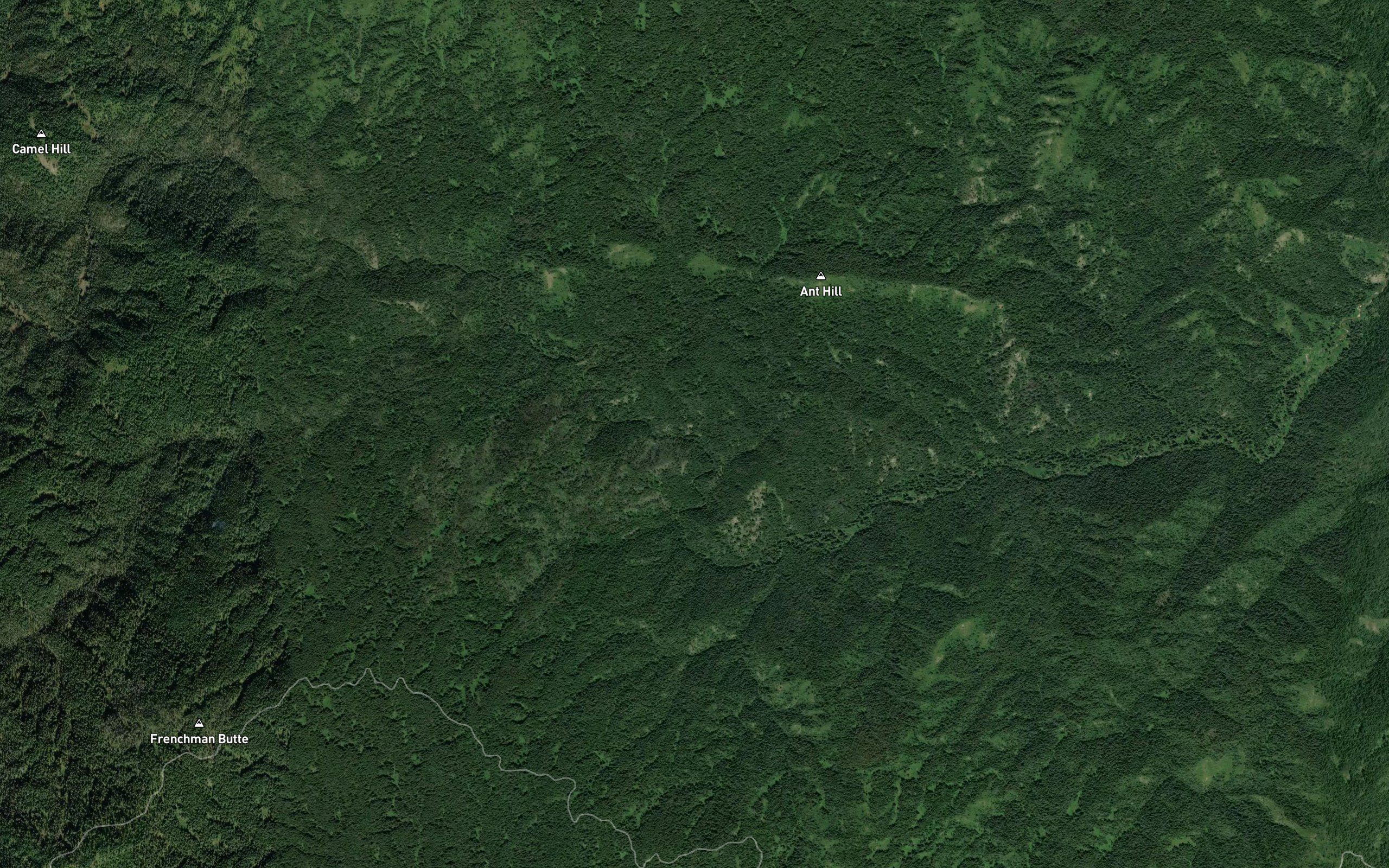 Cow Creek