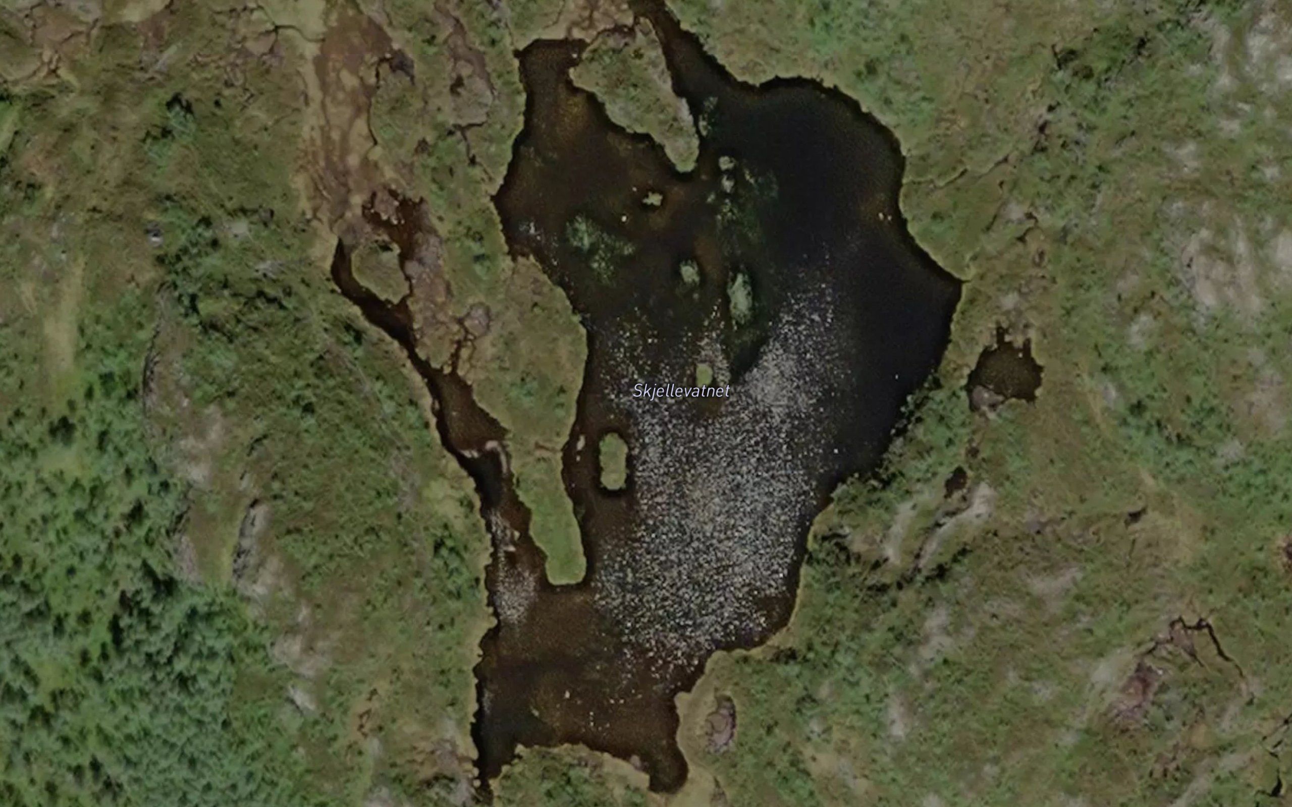 Skjellevatnet
