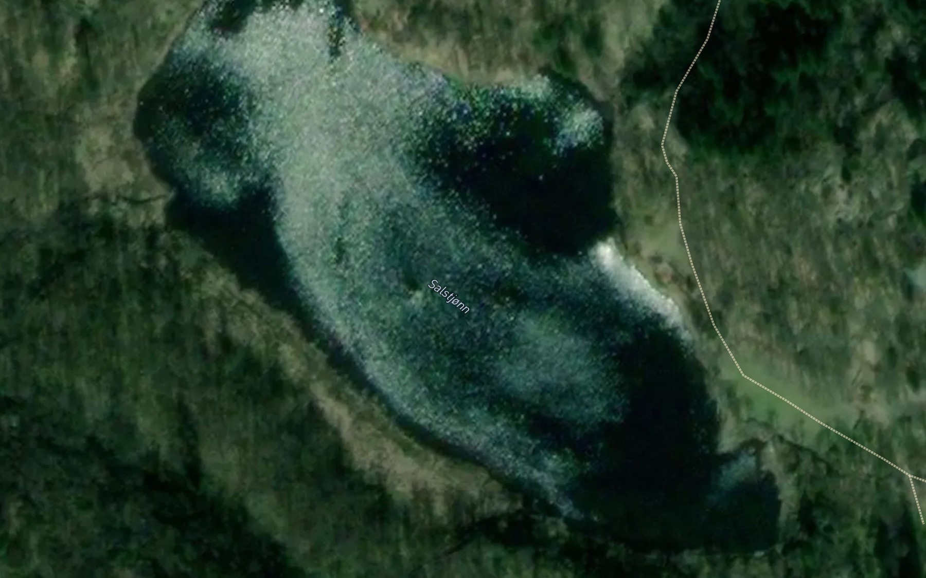 Satellite map of the Salstjonn