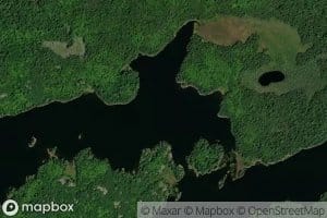 Harry Lake