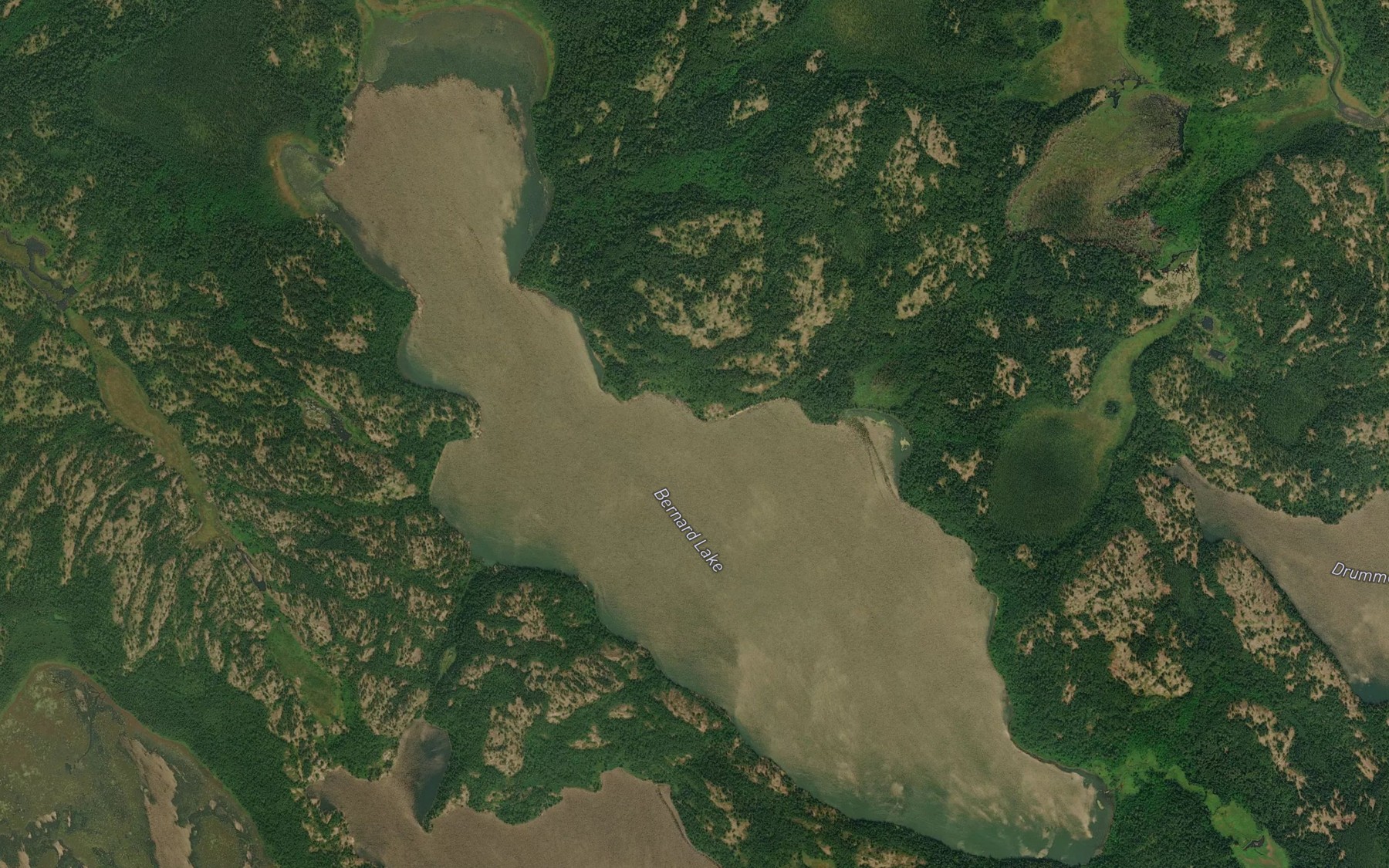 Satellite map of the Bernard Lake