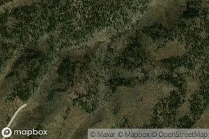 Willow Corral Spring