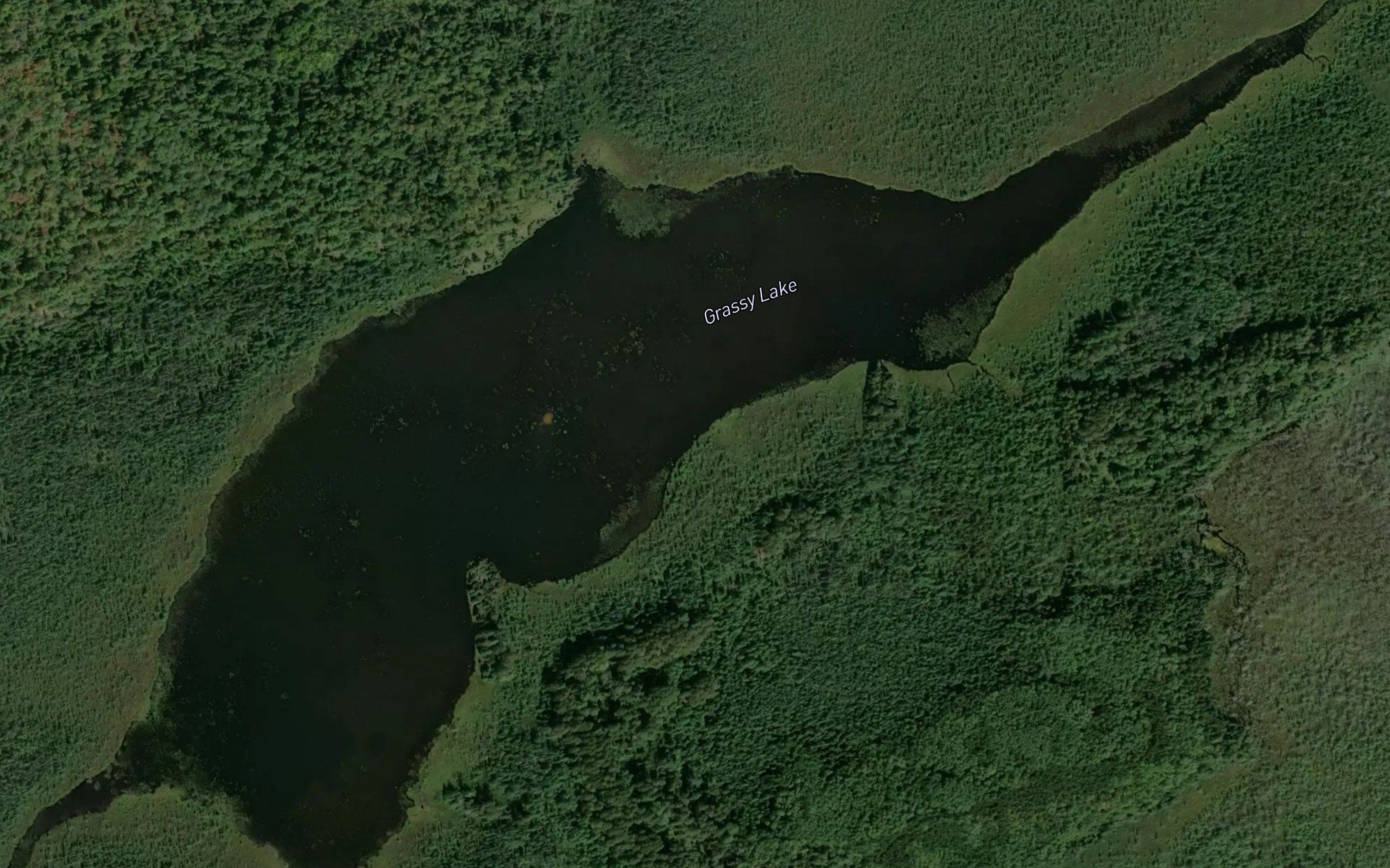 Grassy Lake