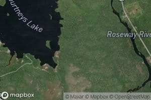 Courtneys Lake Brook