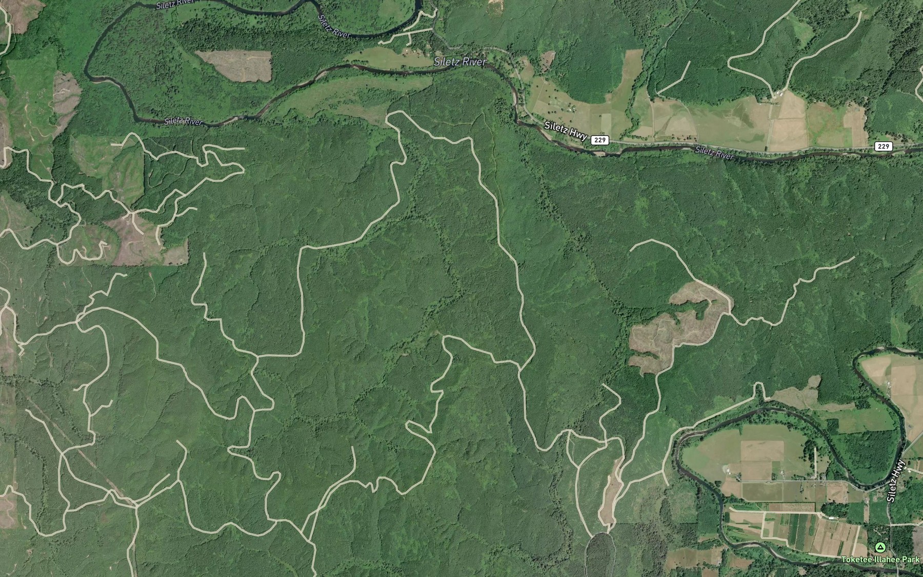 Satellite map of the South Roy Creek