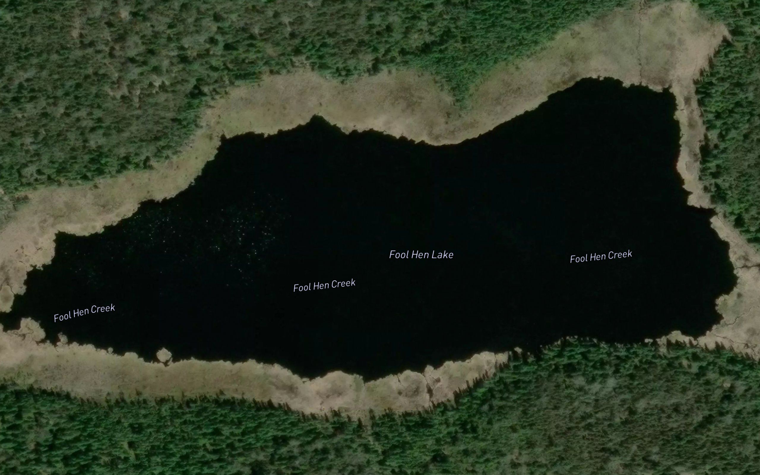 Fool Hen Lake