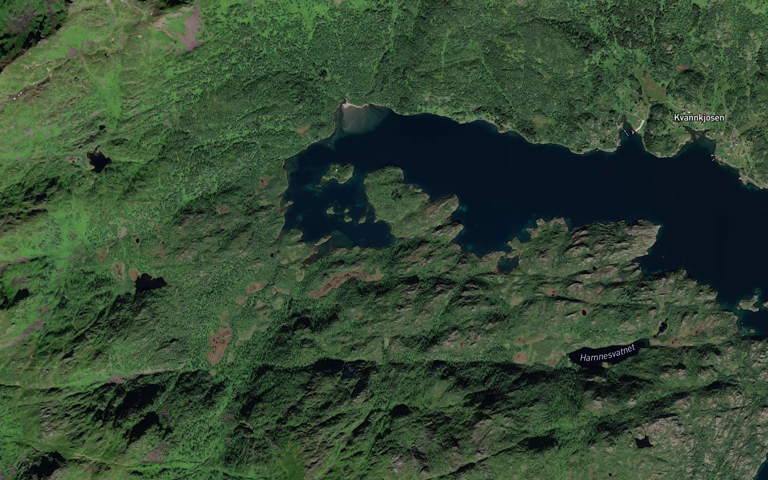 Risnesbukta