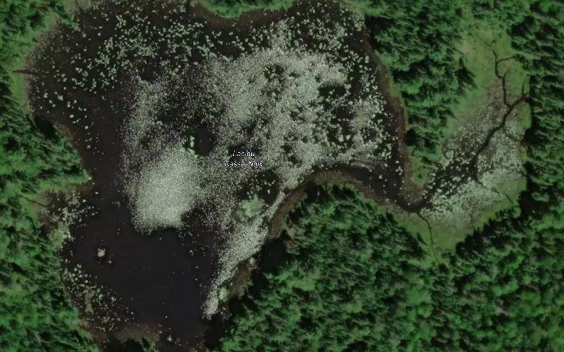 Satellite map of the Lac du Casse-Noix
