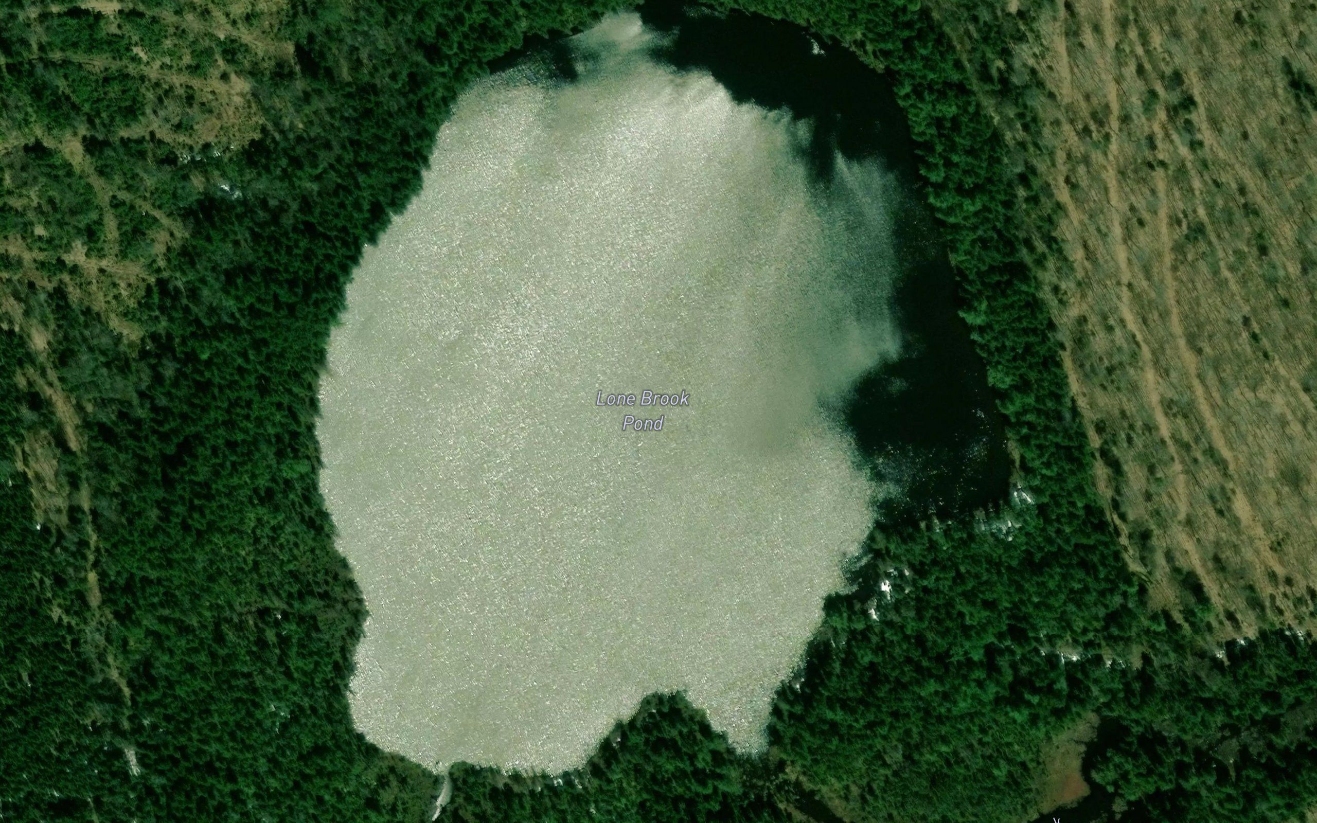 Lane Brook Pond