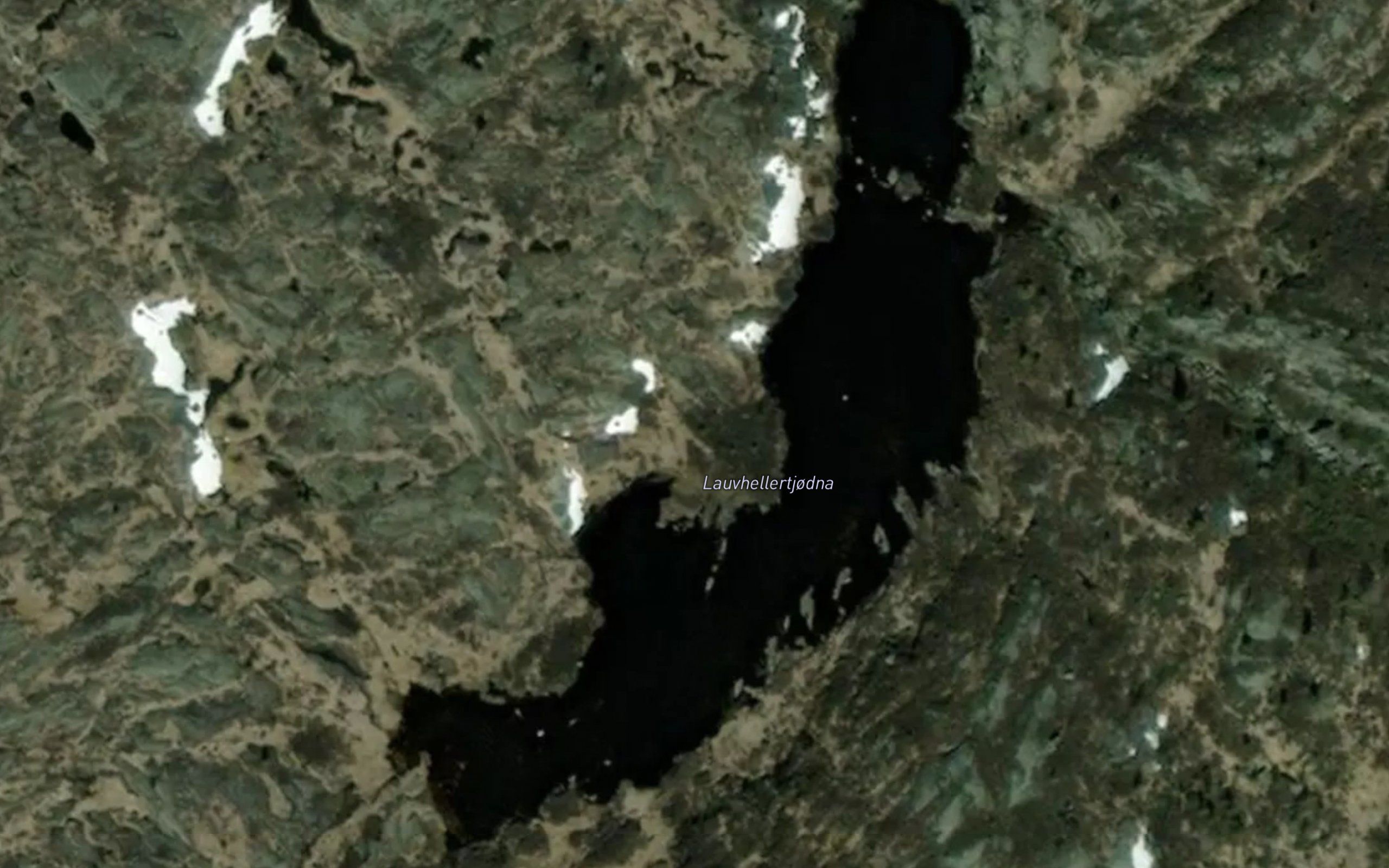 Lauvhellertjodna