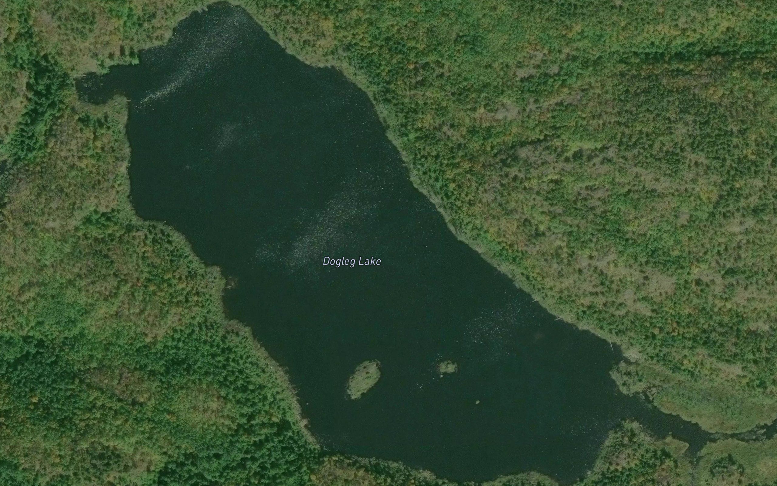 Dogleg Lake