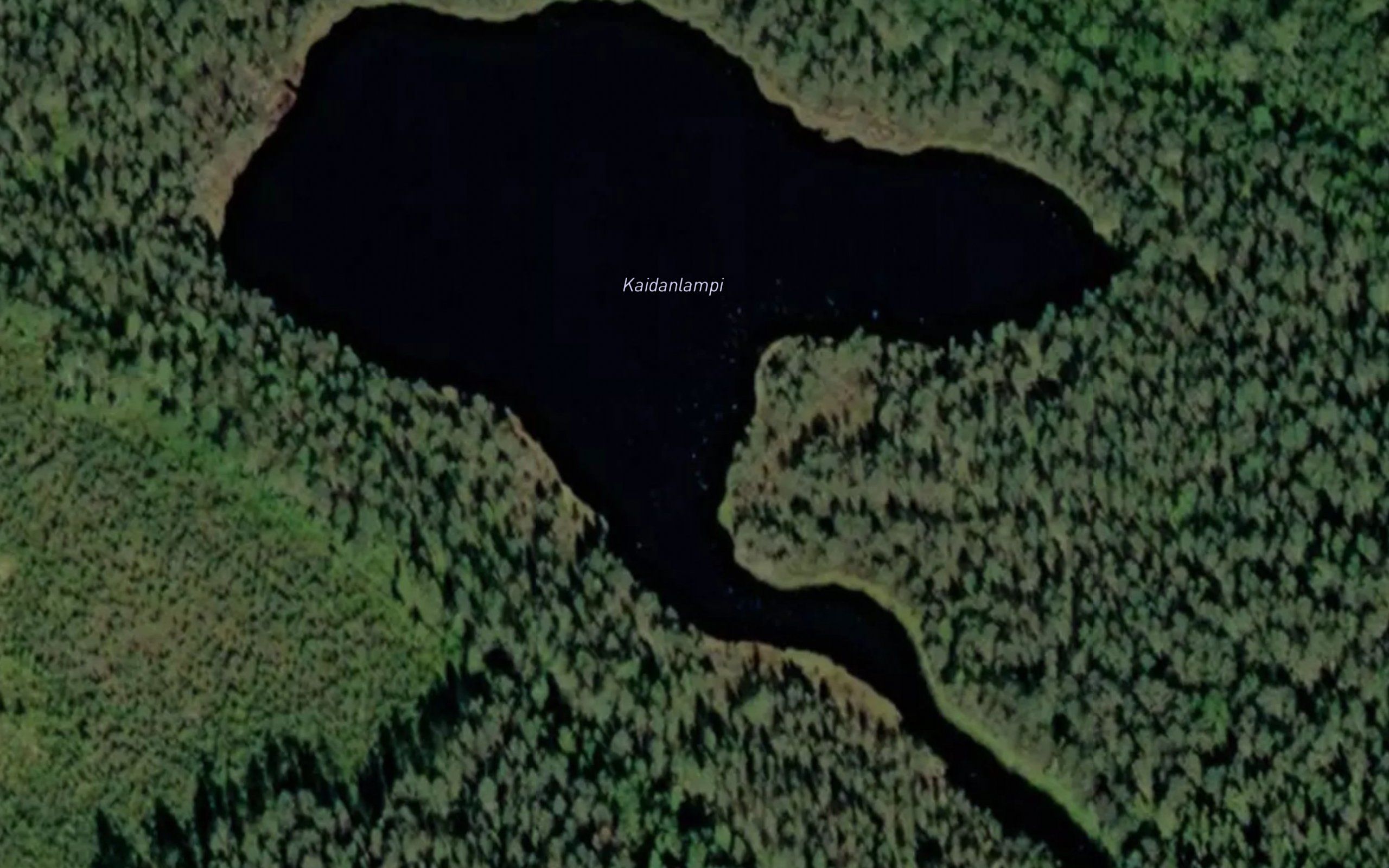 Kaidanlampi
