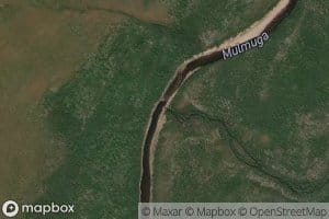 Burulusha