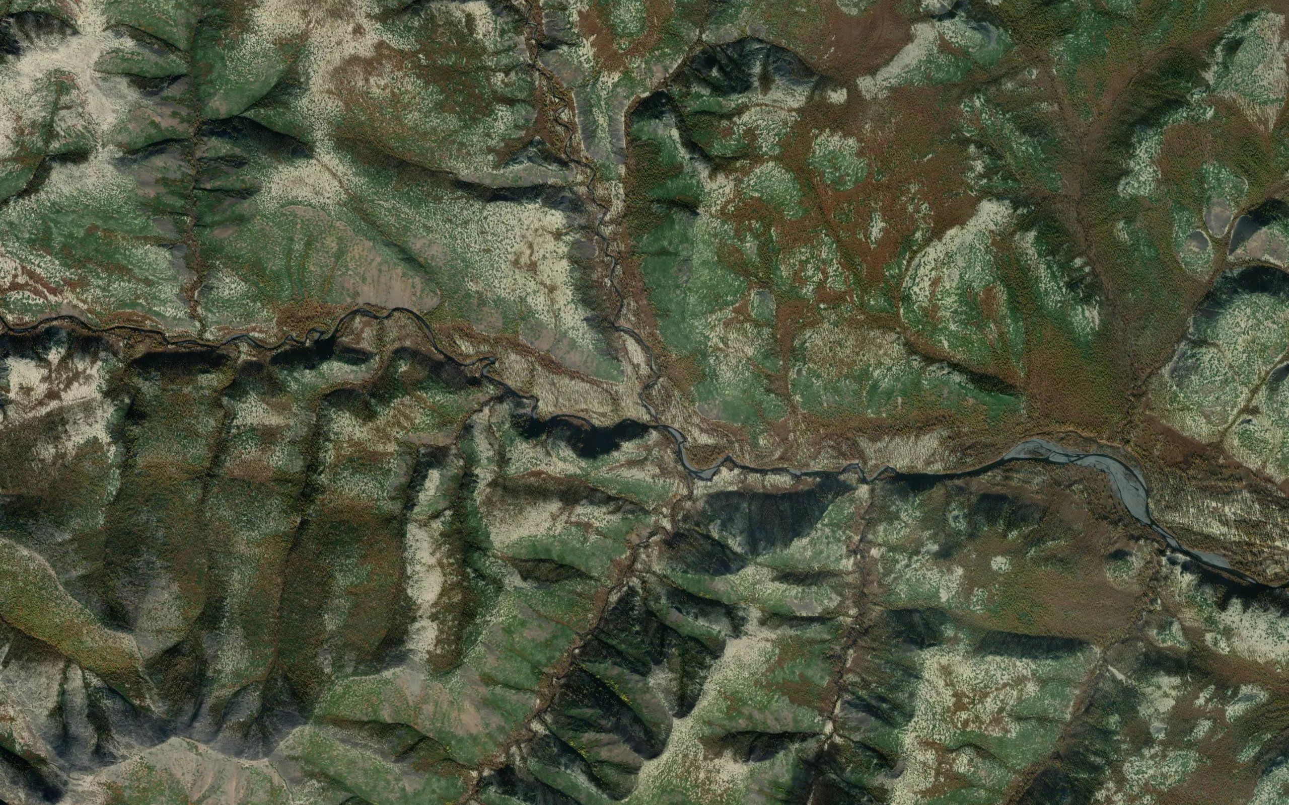 Movkus