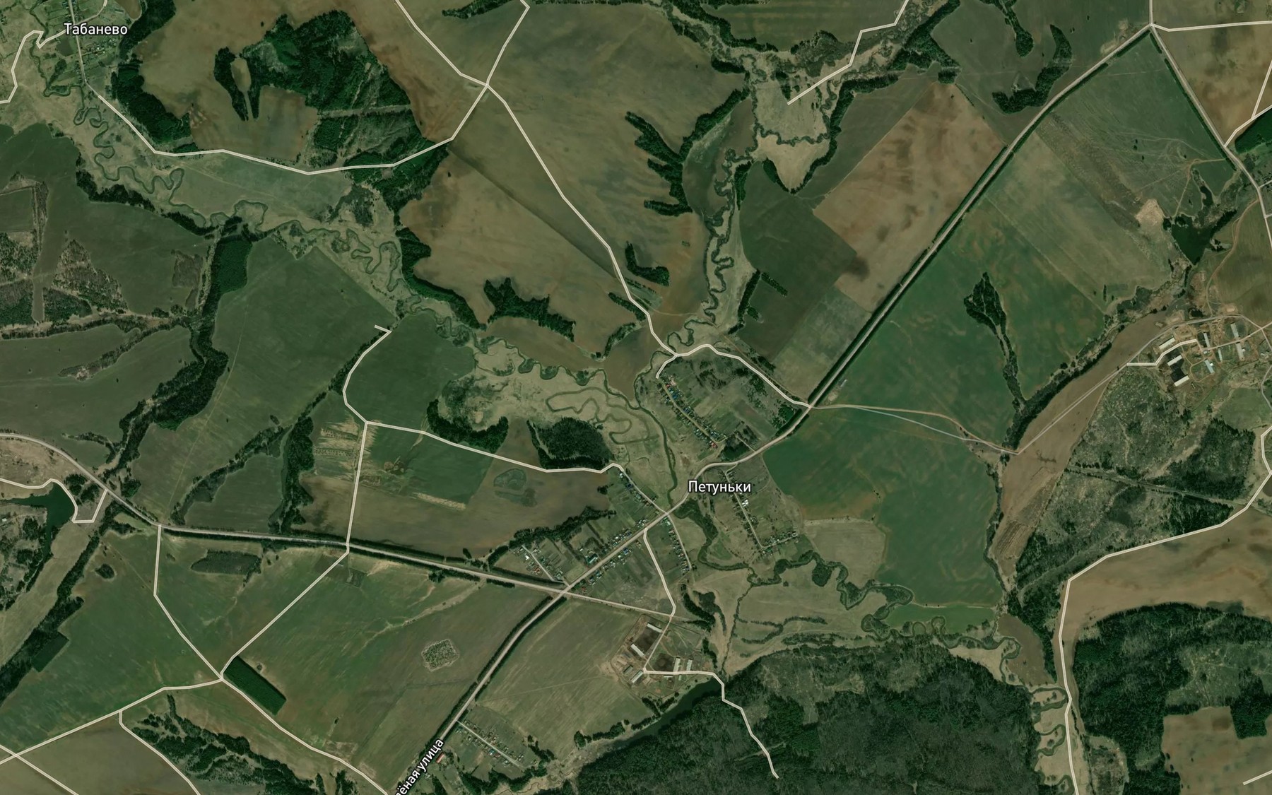 Satellite map of the Sheg'yanka