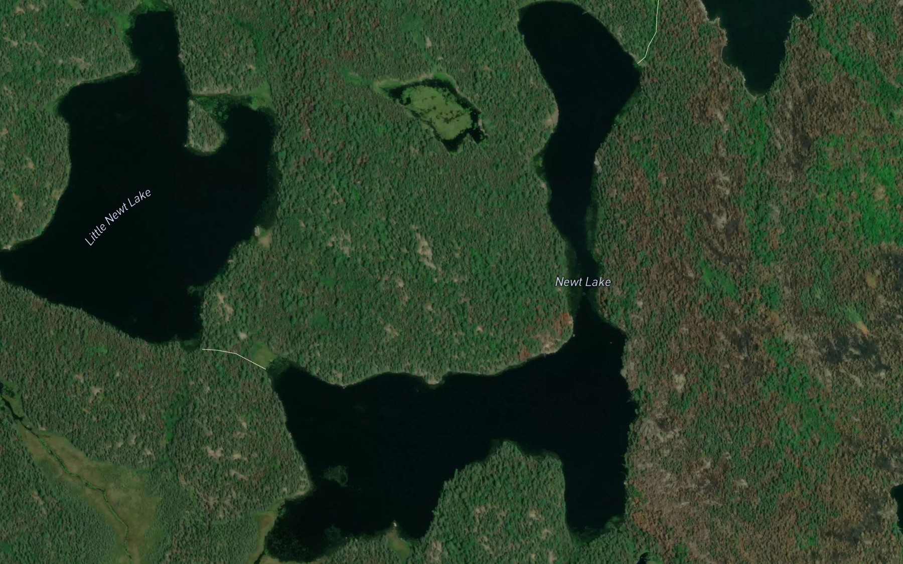 Satellite map of the Newt Lake