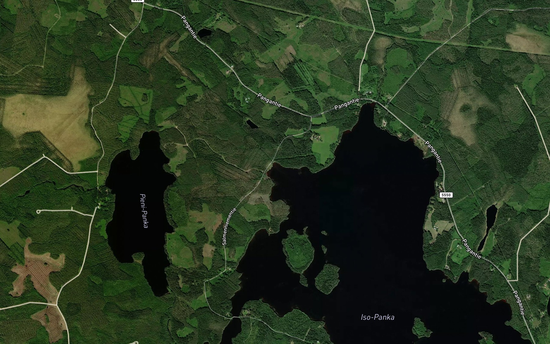 Satellite map of the Luodelahti