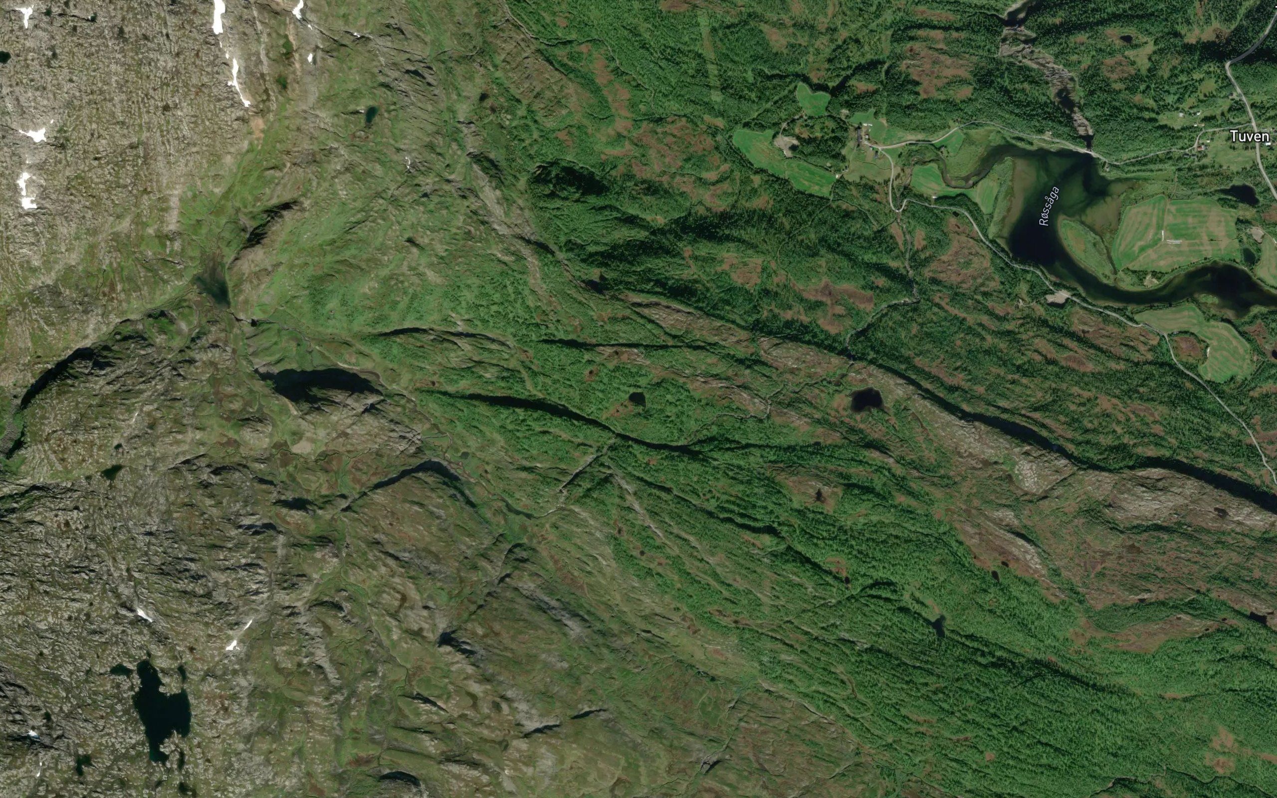 Hanstjorna