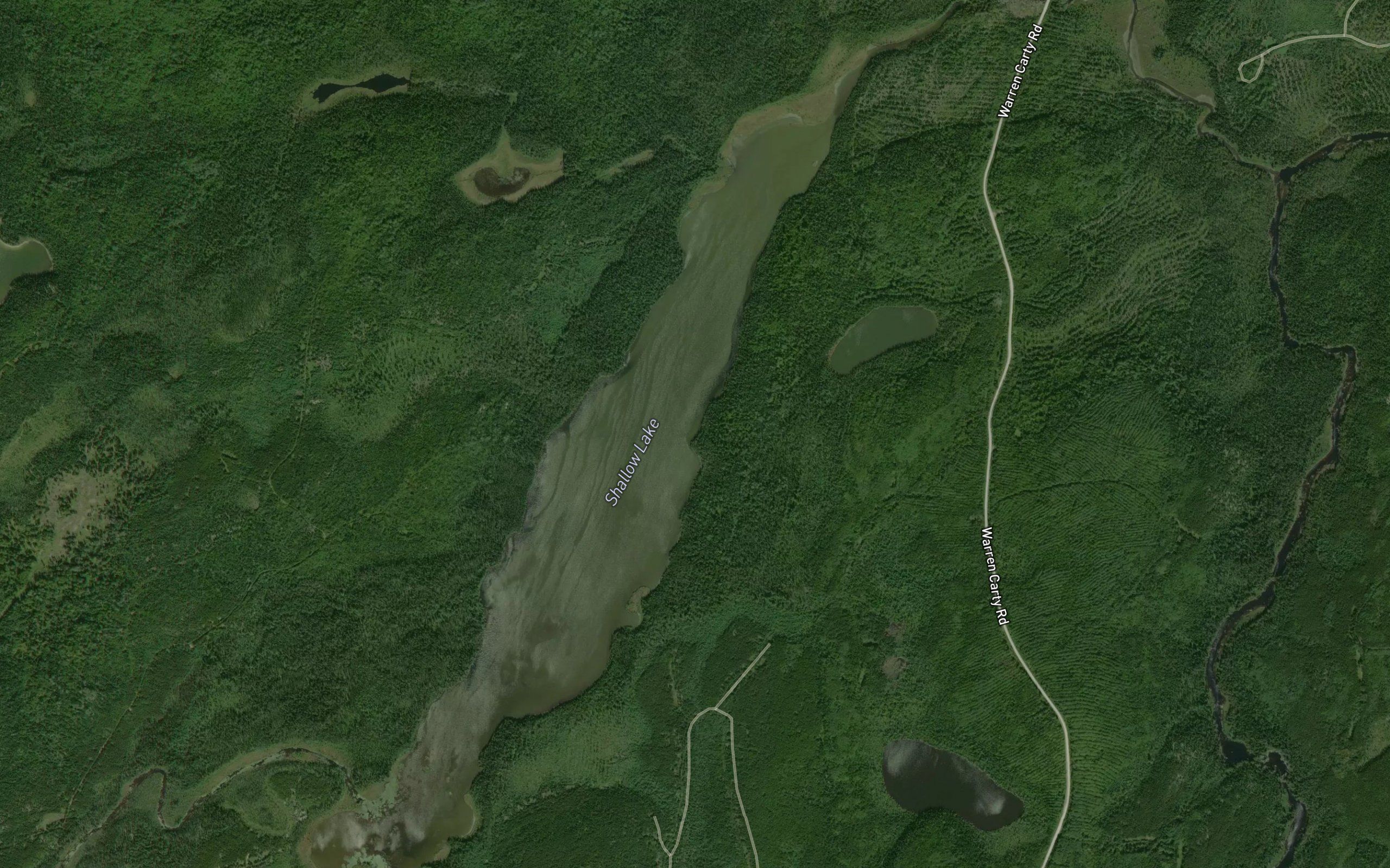 Shallow Lake