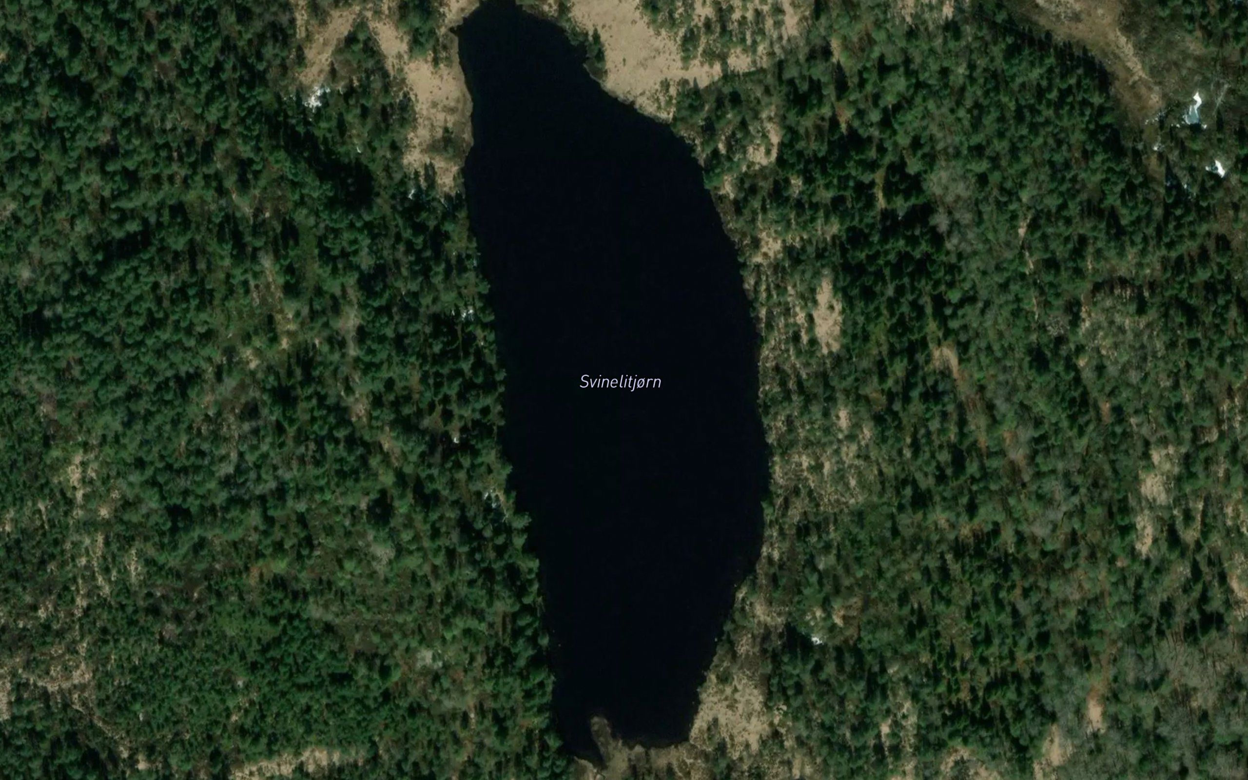 Svinelitjonn