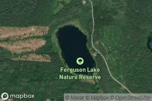 Ferguson Lake