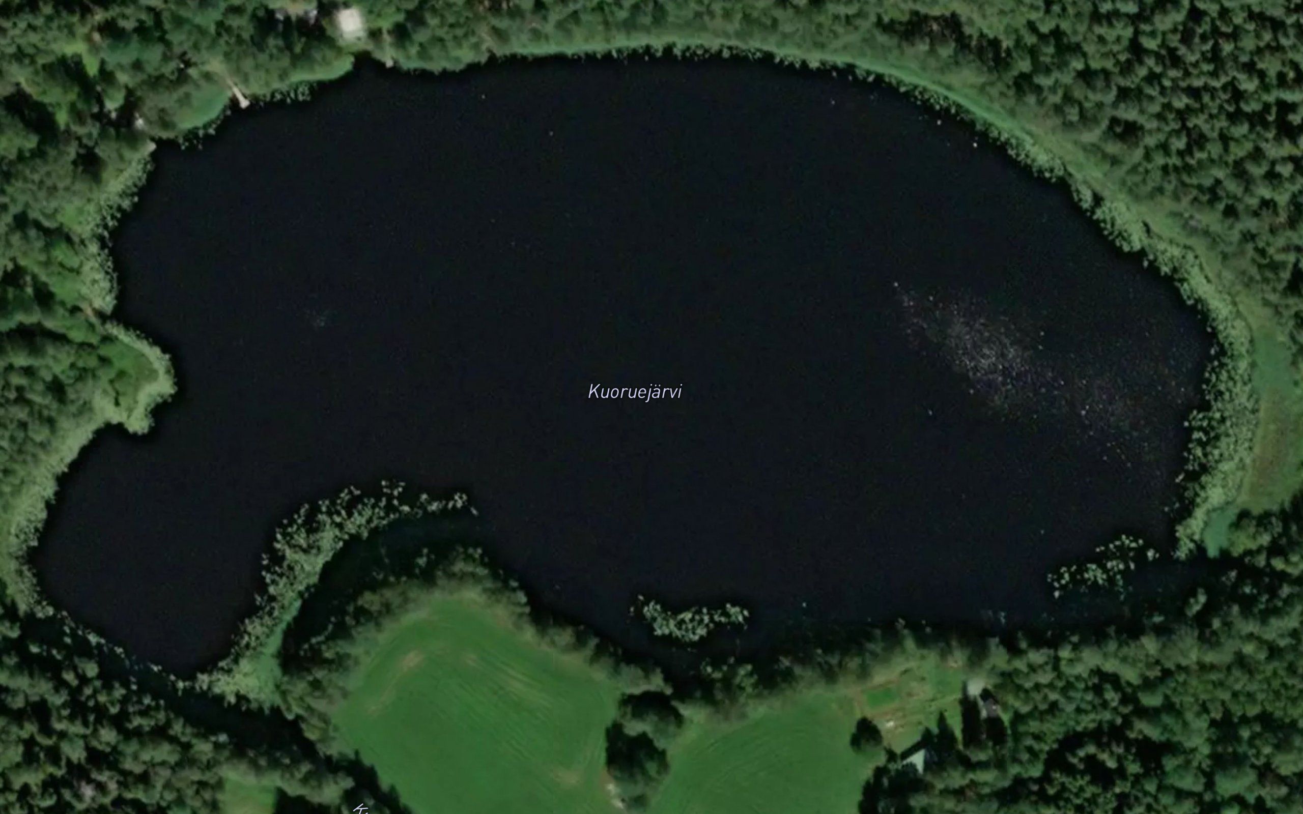 Kuoruejarvi