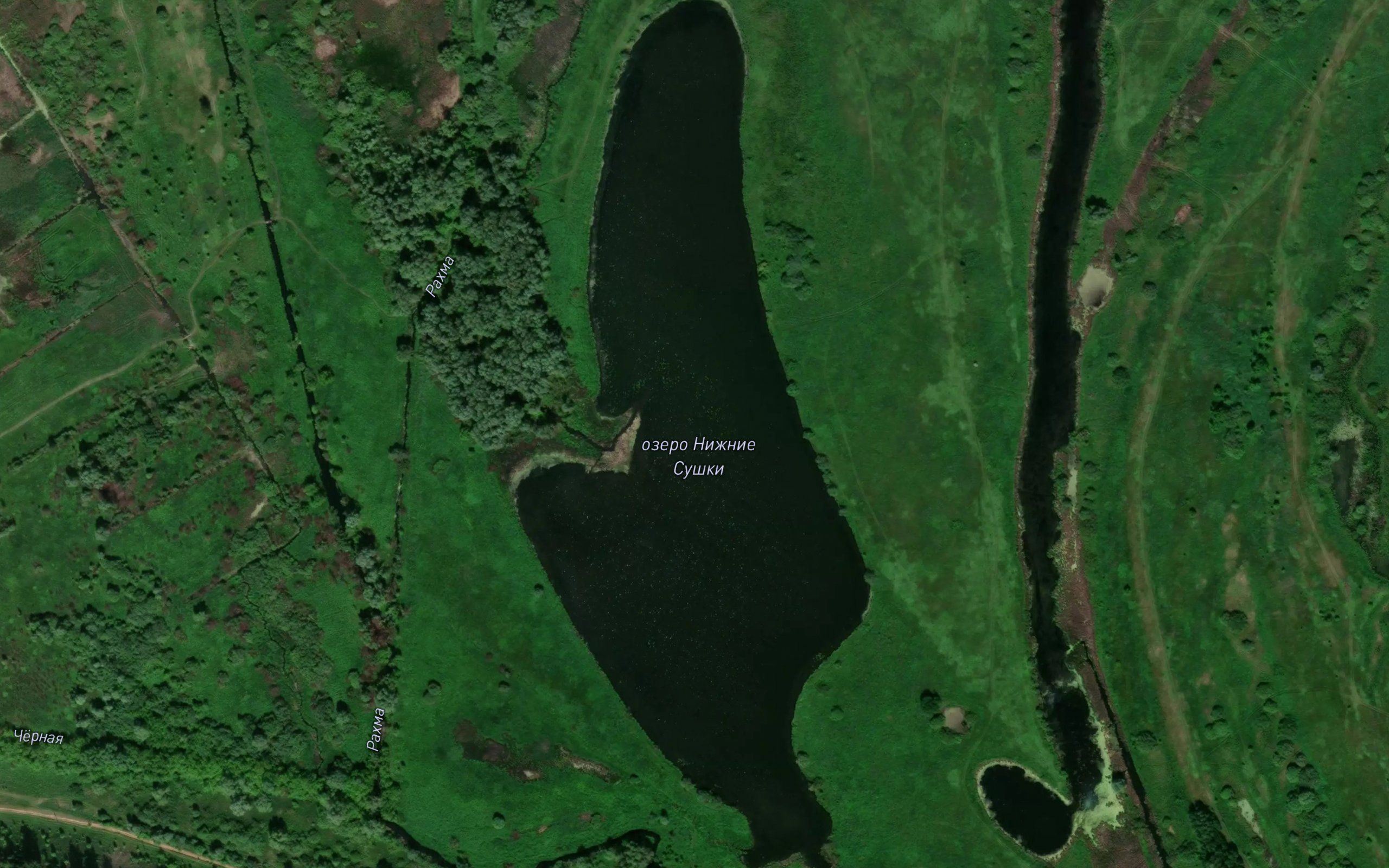 Chernaya